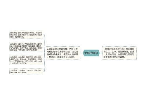 大肠的病机