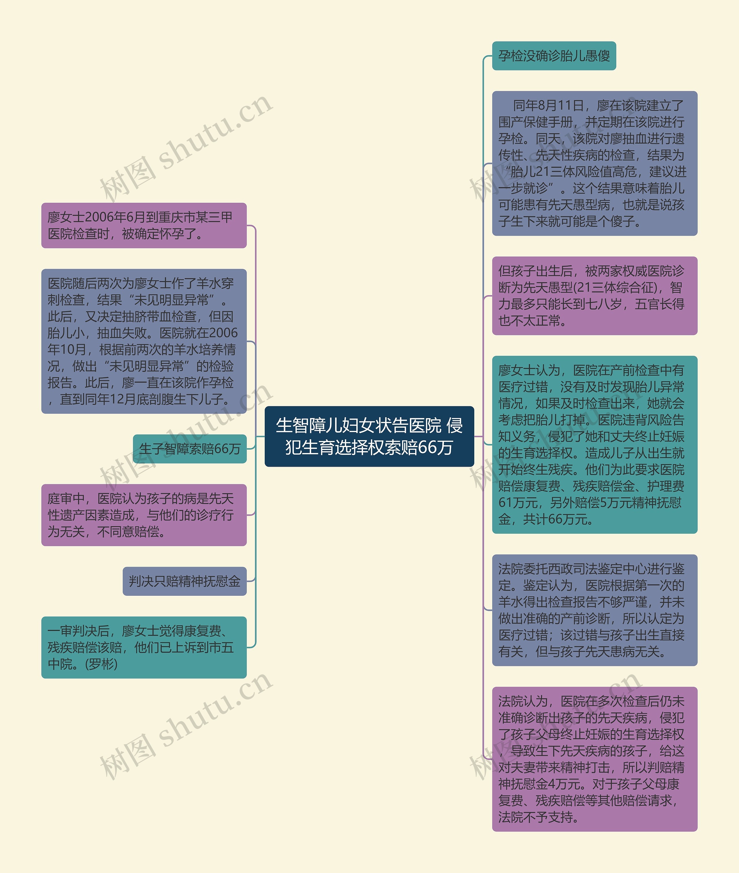 生智障儿妇女状告医院 侵犯生育选择权索赔66万思维导图