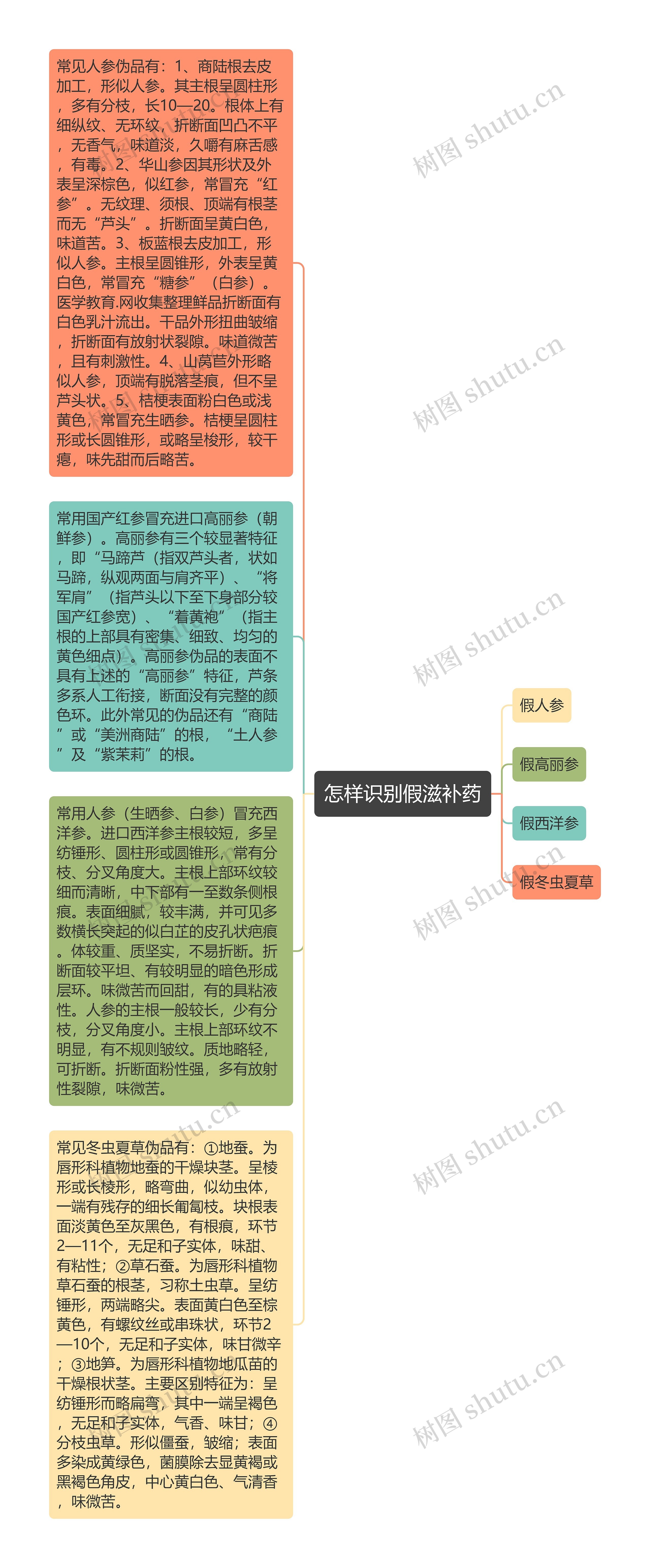 怎样识别假滋补药思维导图