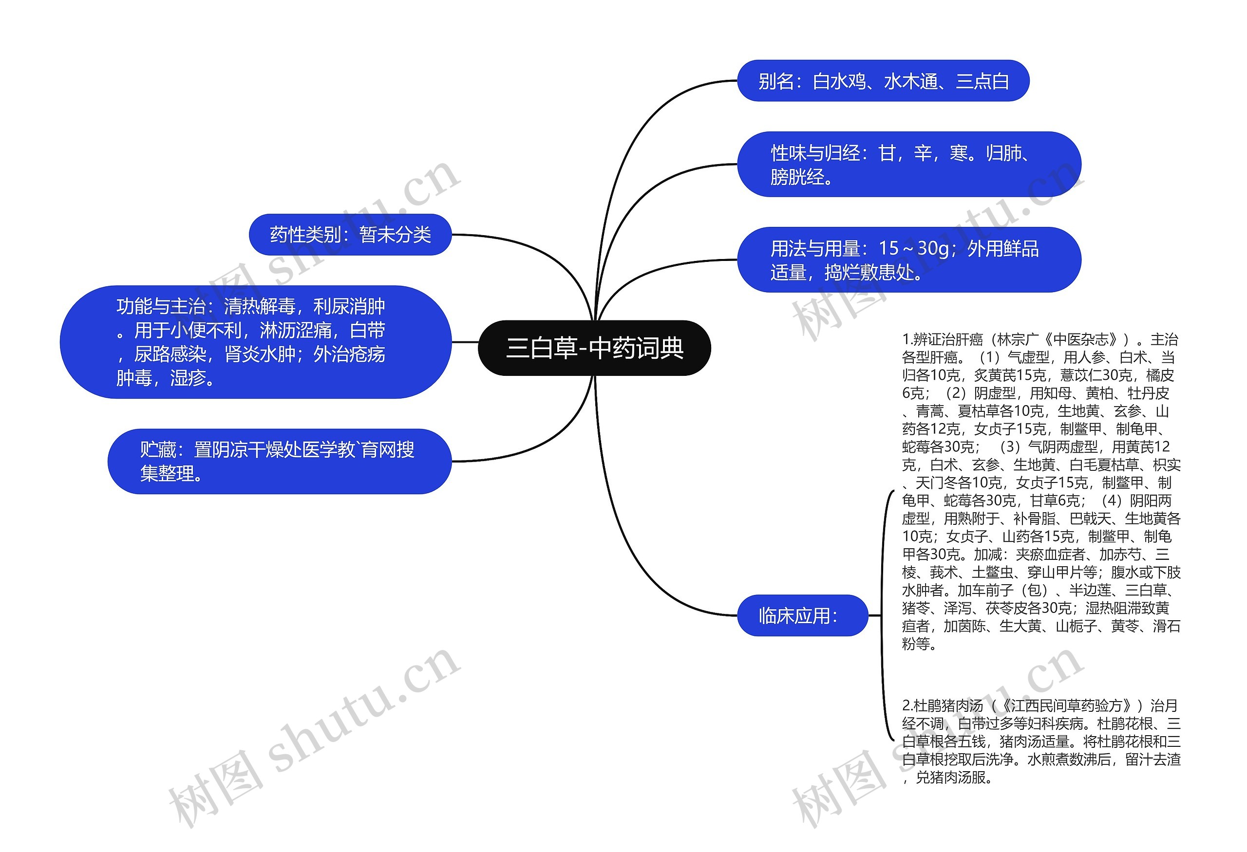 三白草-中药词典思维导图