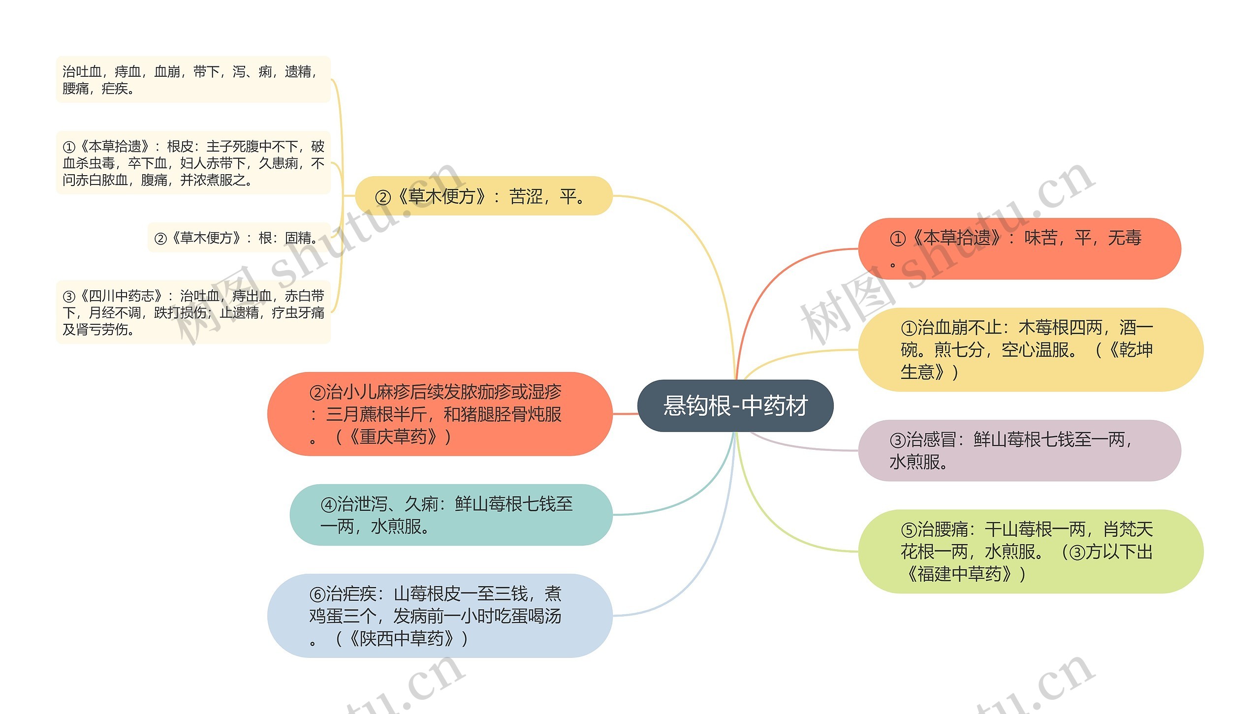 悬钩根-中药材思维导图