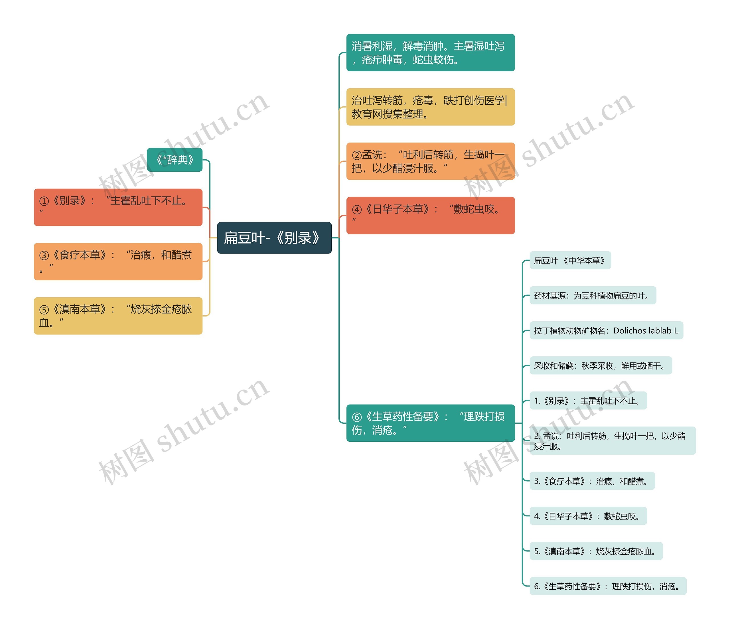 扁豆叶-《别录》思维导图