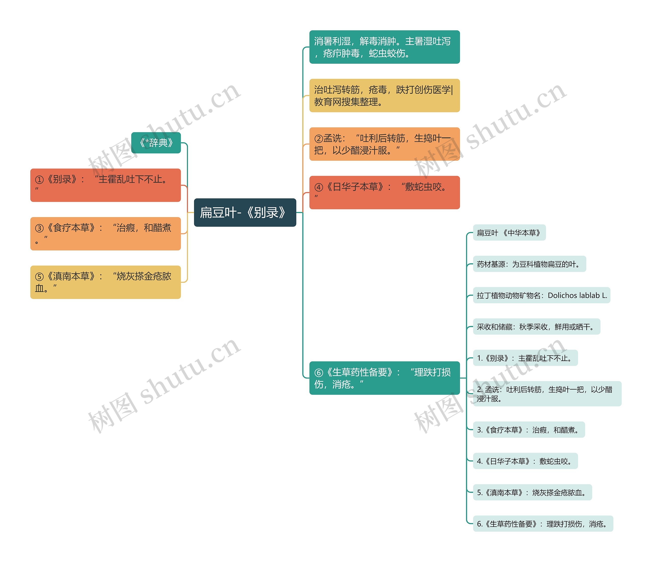 扁豆叶-《别录》 扁豆叶-《别录》