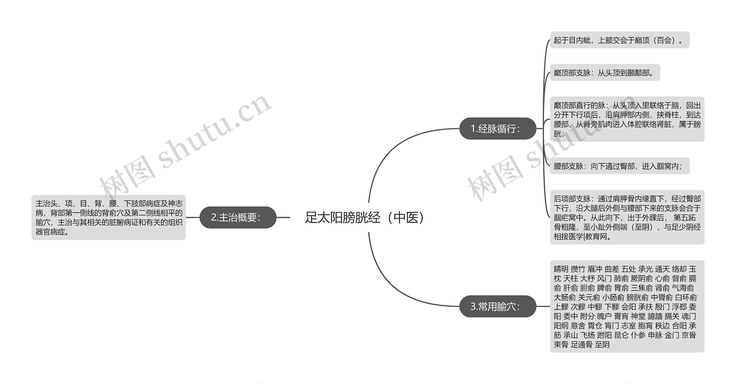 足太阳膀胱经（中医）思维导图