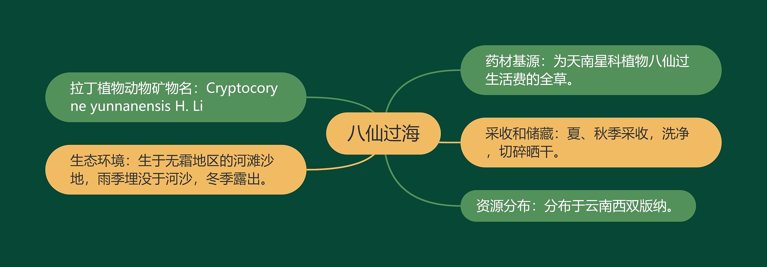 八仙过海思维导图