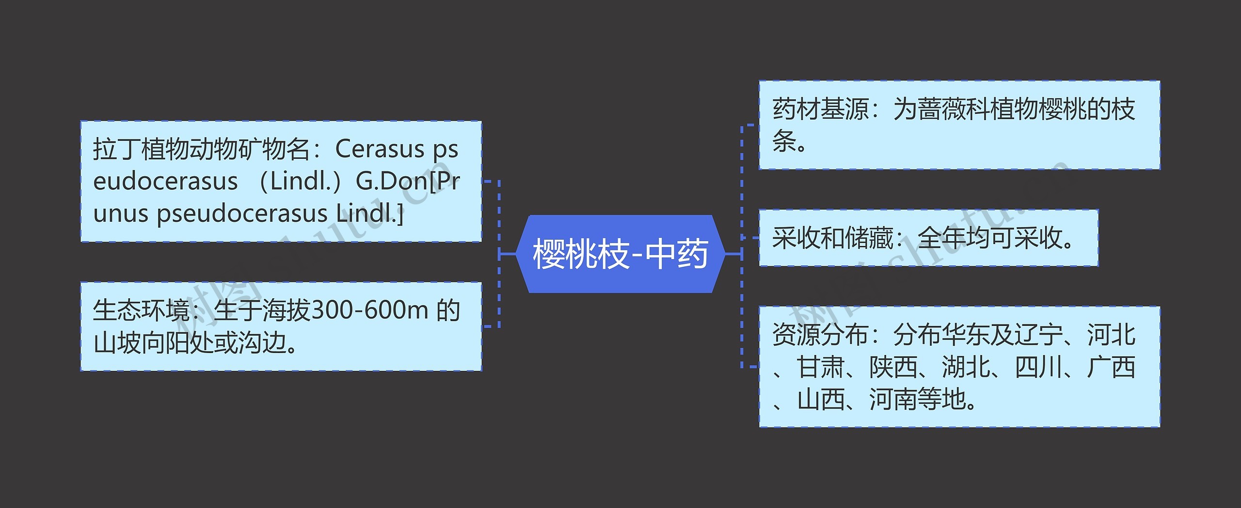 樱桃枝-中药思维导图