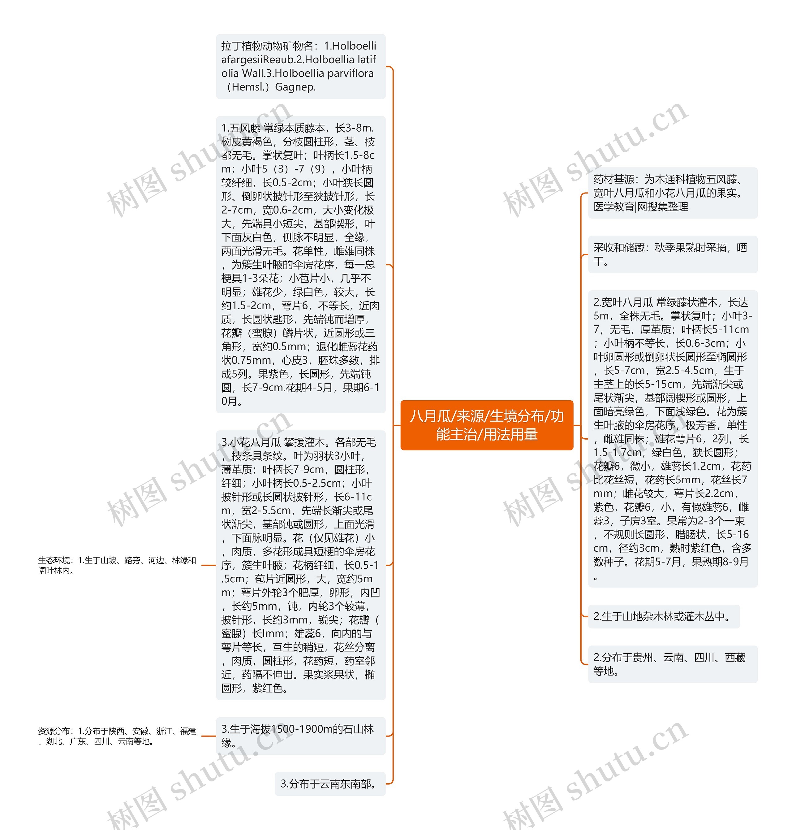 八月瓜/来源/生境分布/功能主治/用法用量思维导图