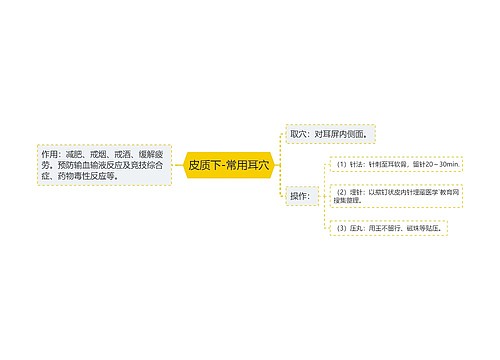 皮质下-常用耳穴