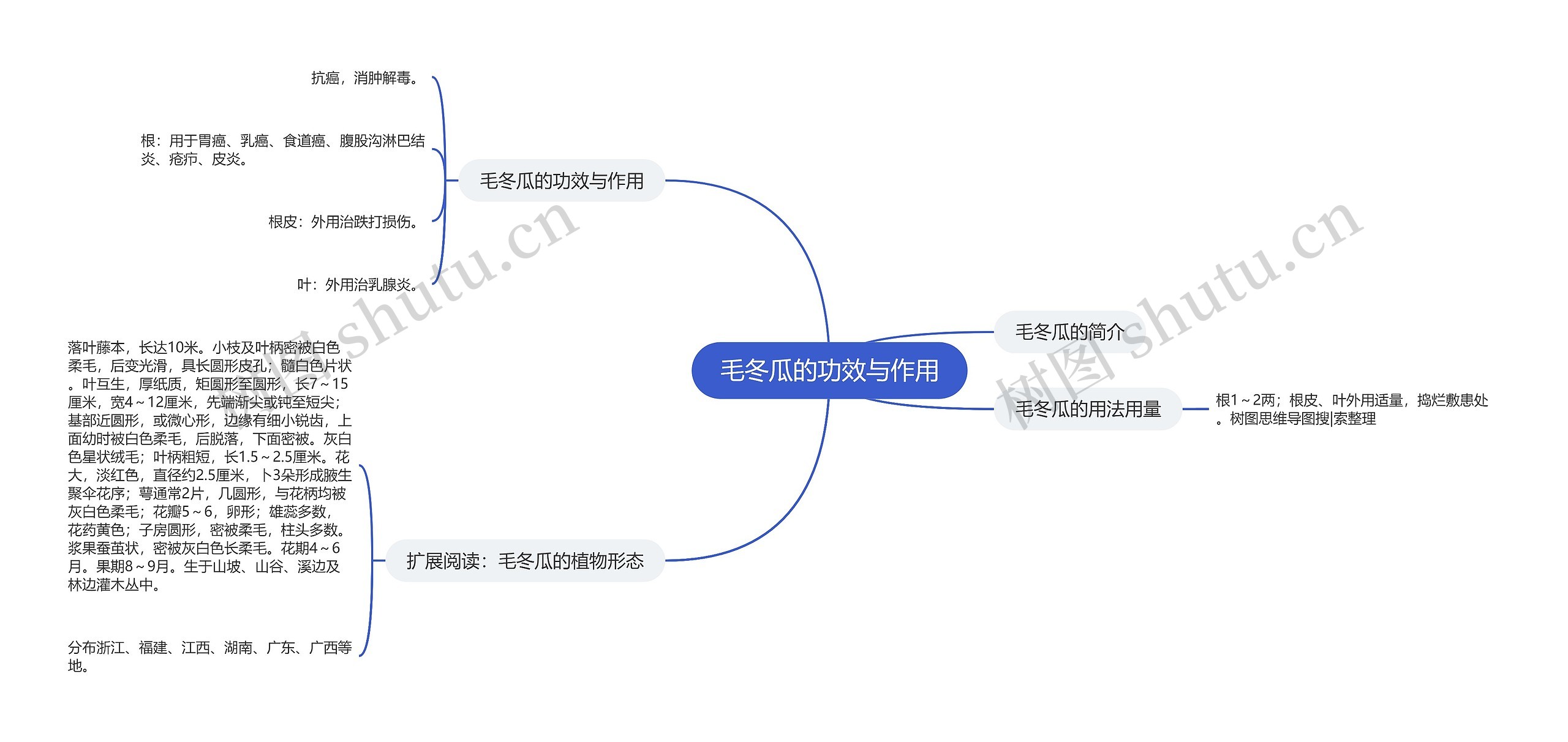 毛冬瓜的功效与作用思维导图