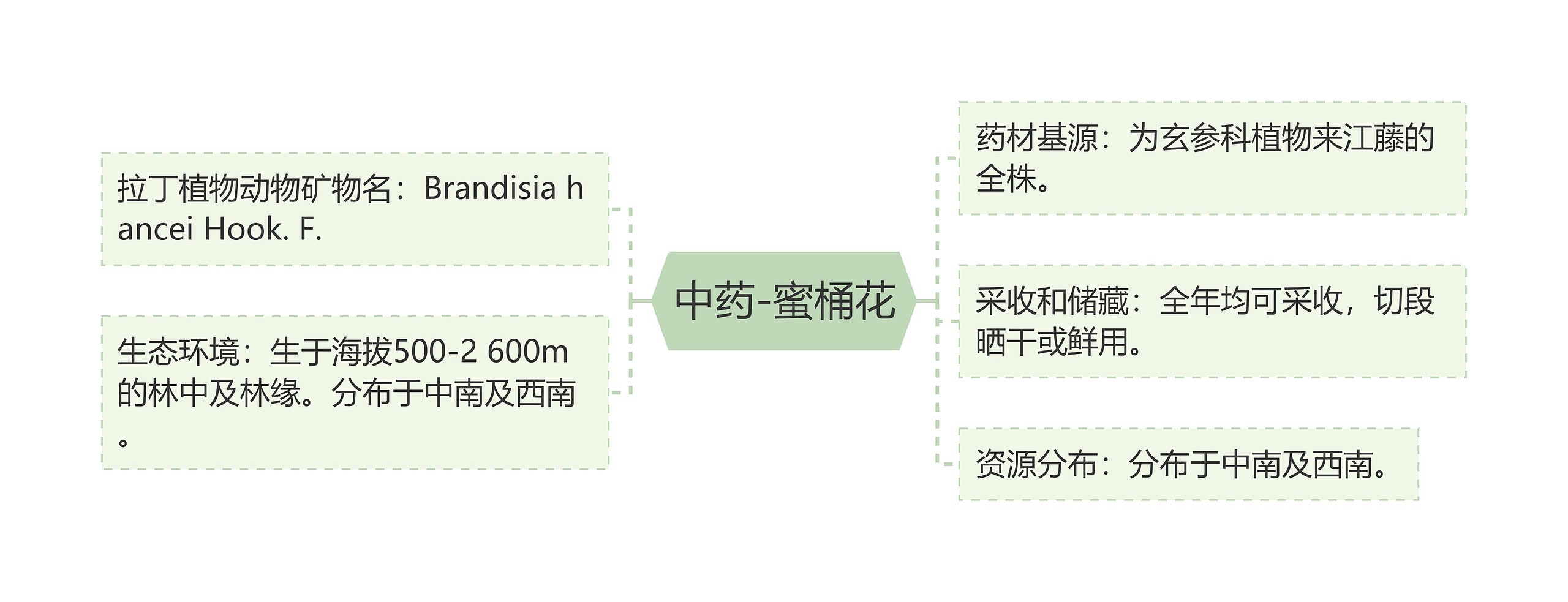 中药-蜜桶花 中药-蜜桶花
