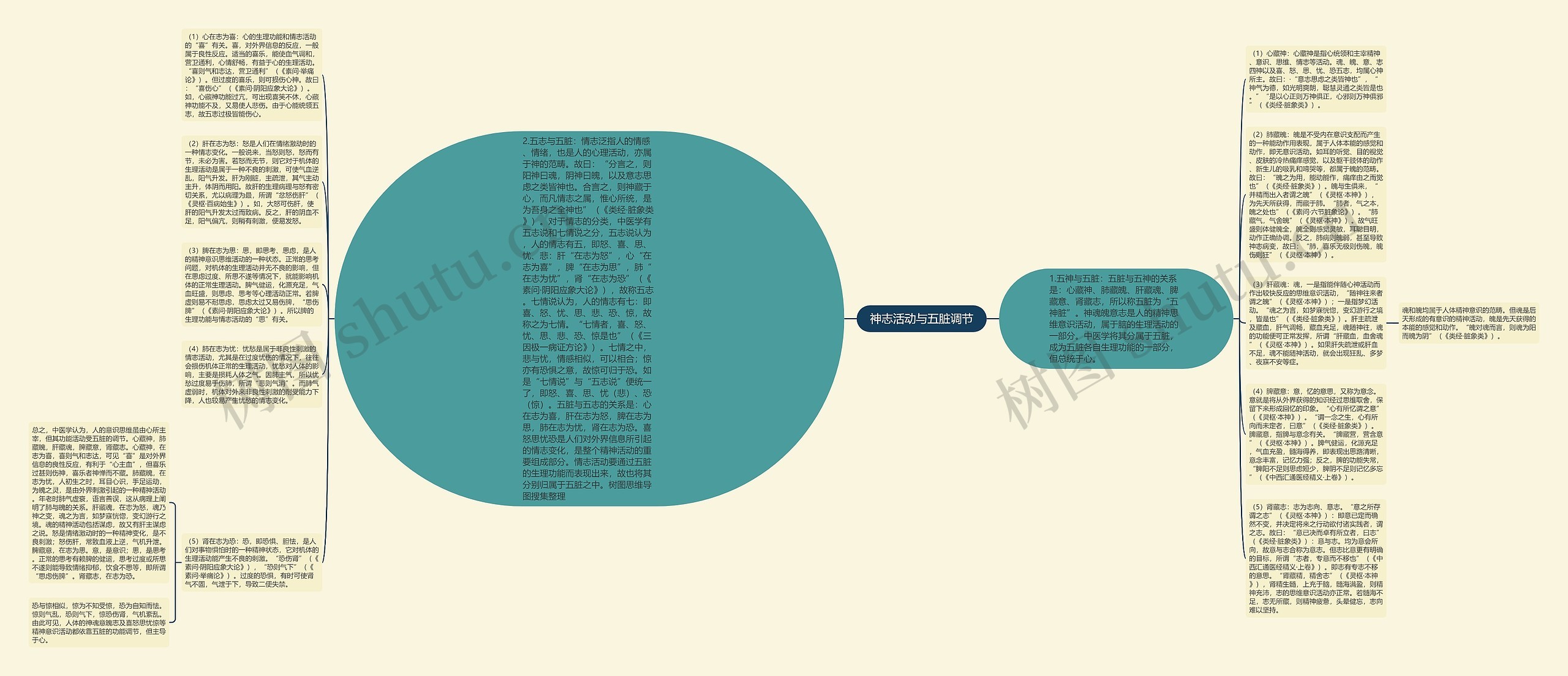 神志活动与五脏调节思维导图