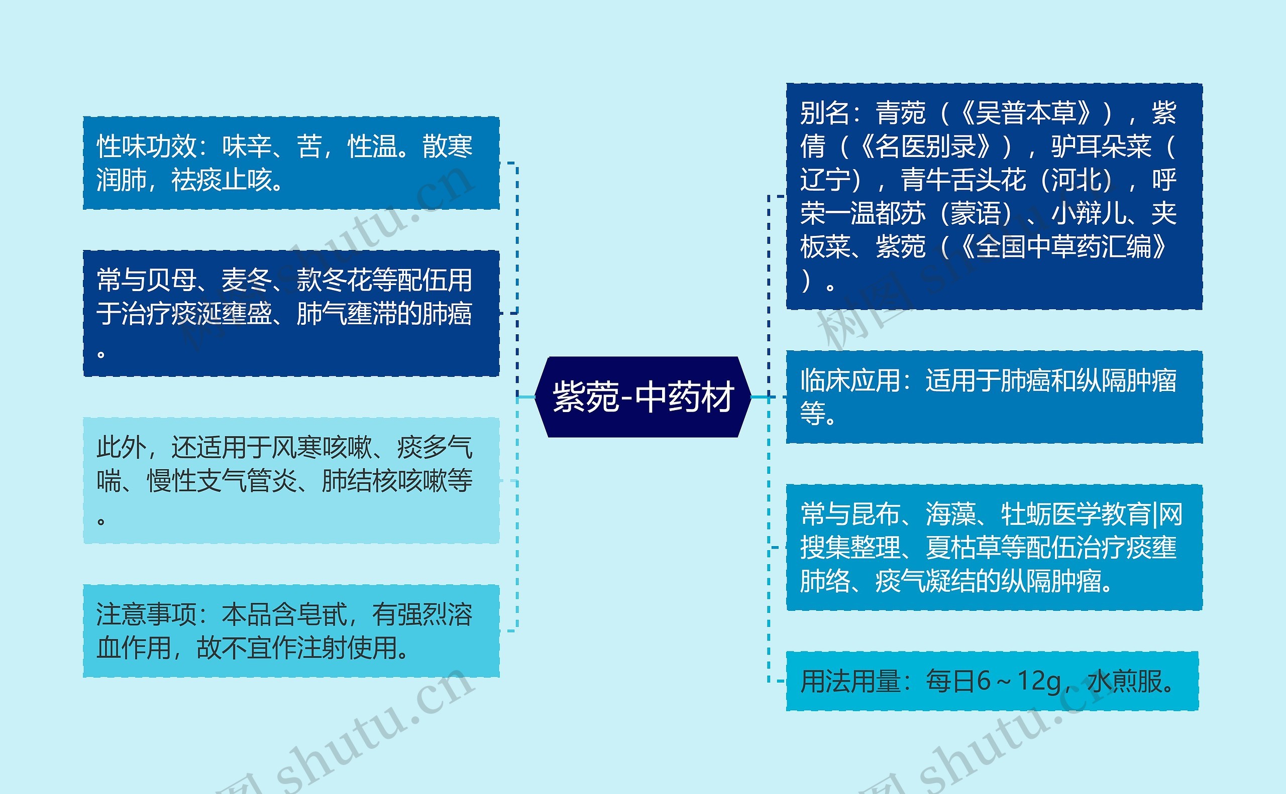 紫菀-中药材思维导图