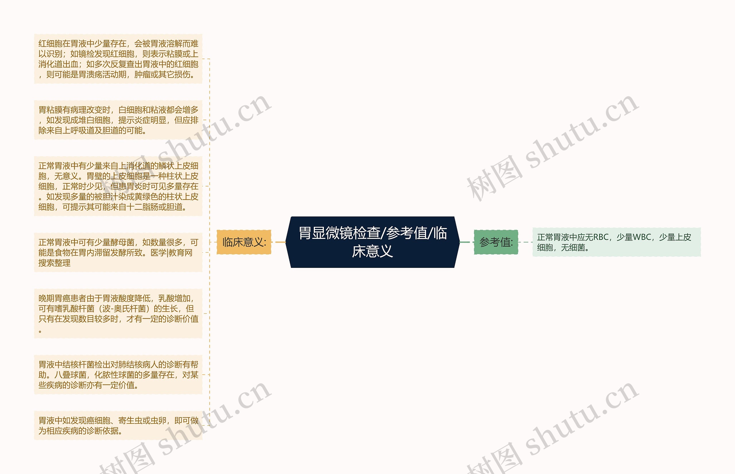 胃显微镜检查/参考值/临床意义思维导图