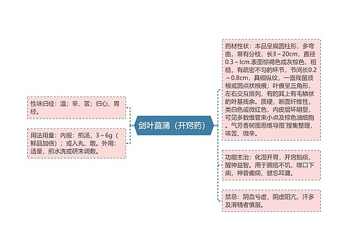 剑叶菖蒲（开窍药）