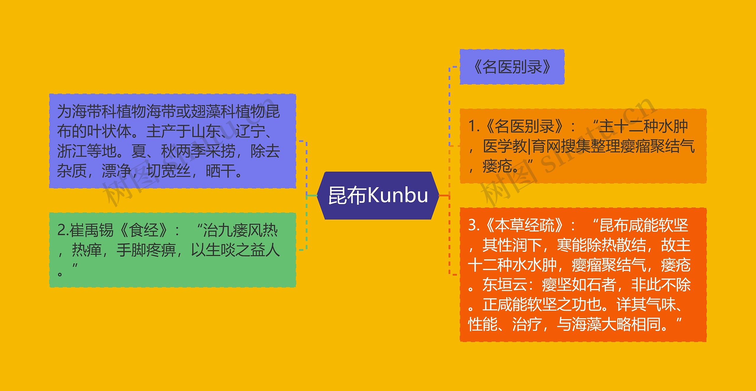 昆布Kunbu思维导图