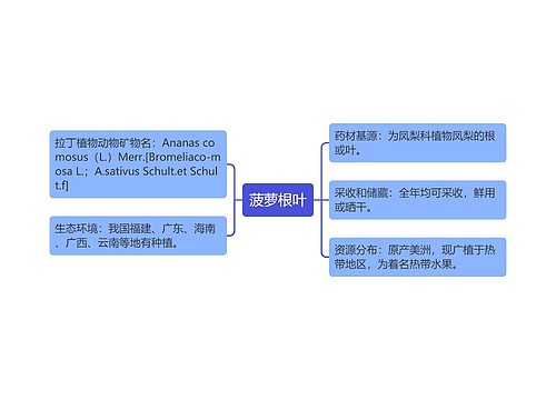 菠萝根叶