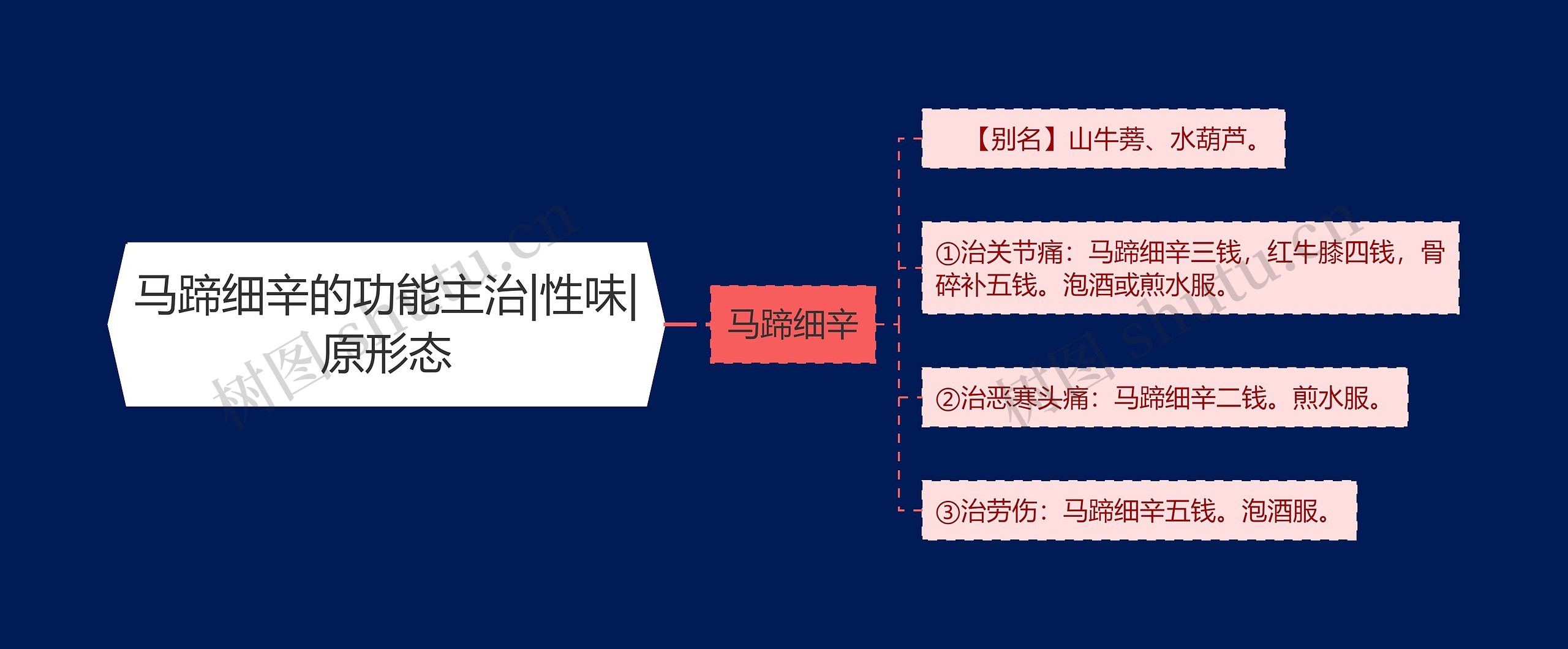 马蹄细辛的功能主治|性味|原形态思维导图