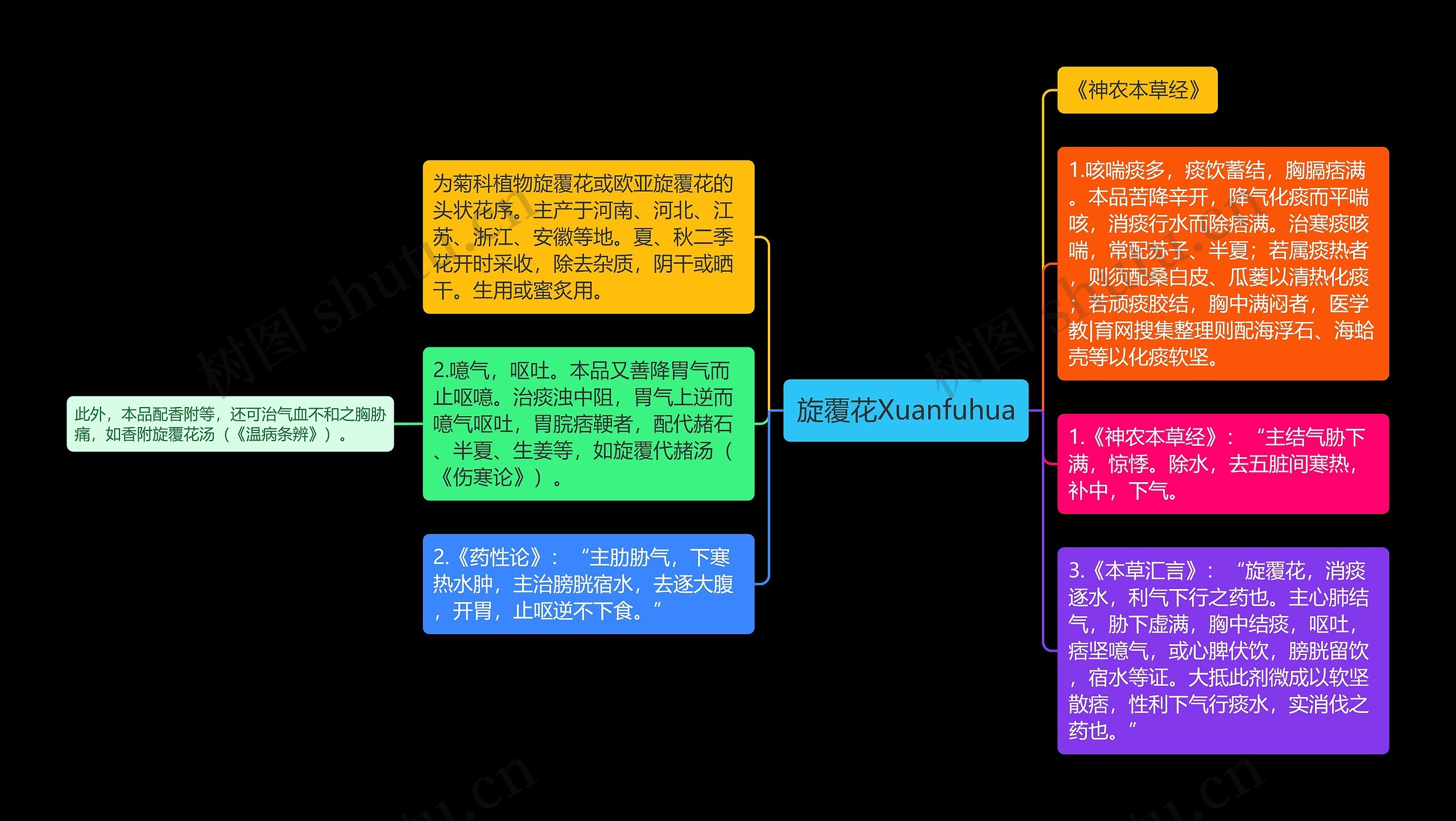 旋覆花Xuanfuhua思维导图