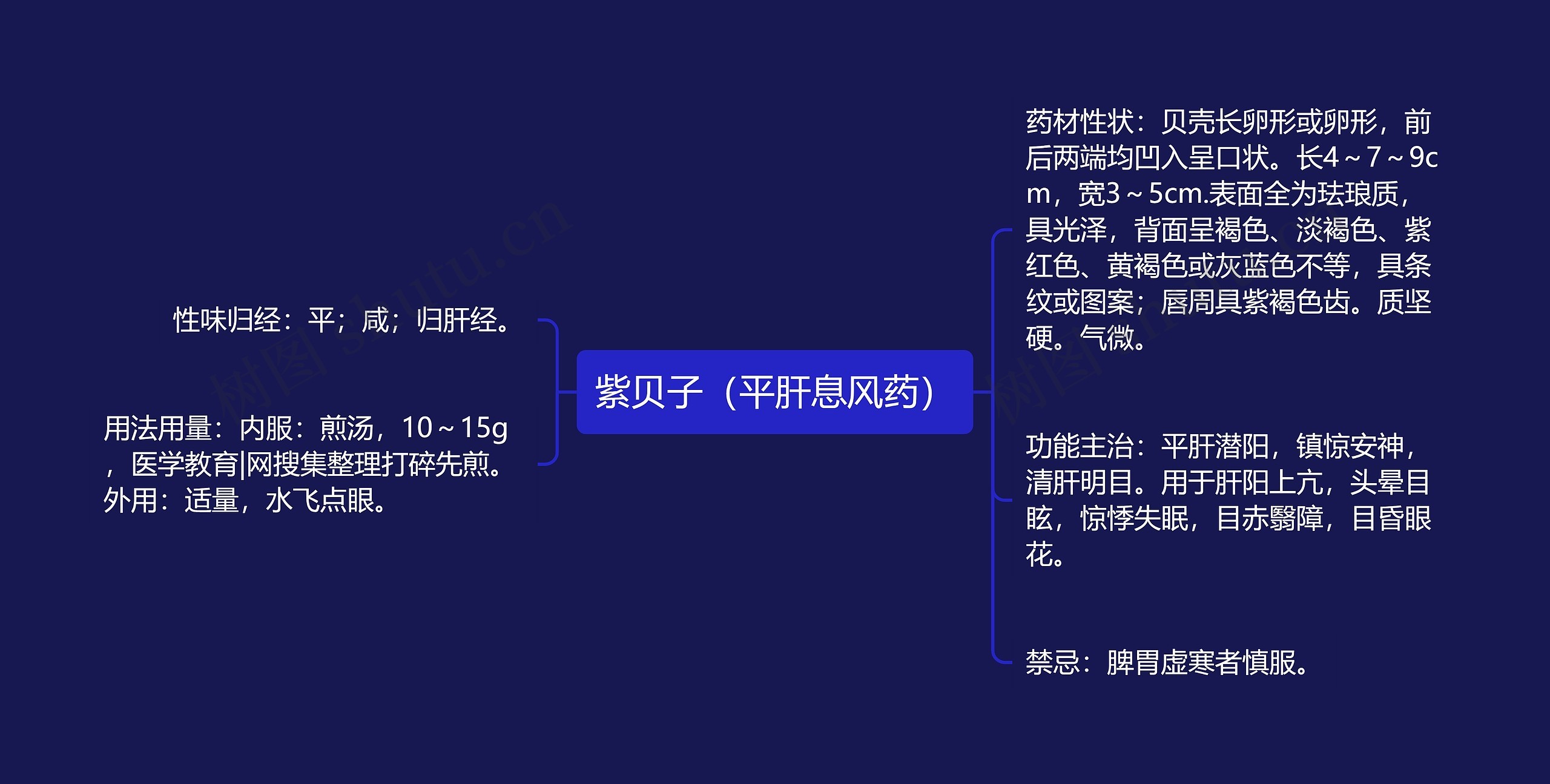 紫贝子(平肝息风药) 紫贝子(平肝息风药)