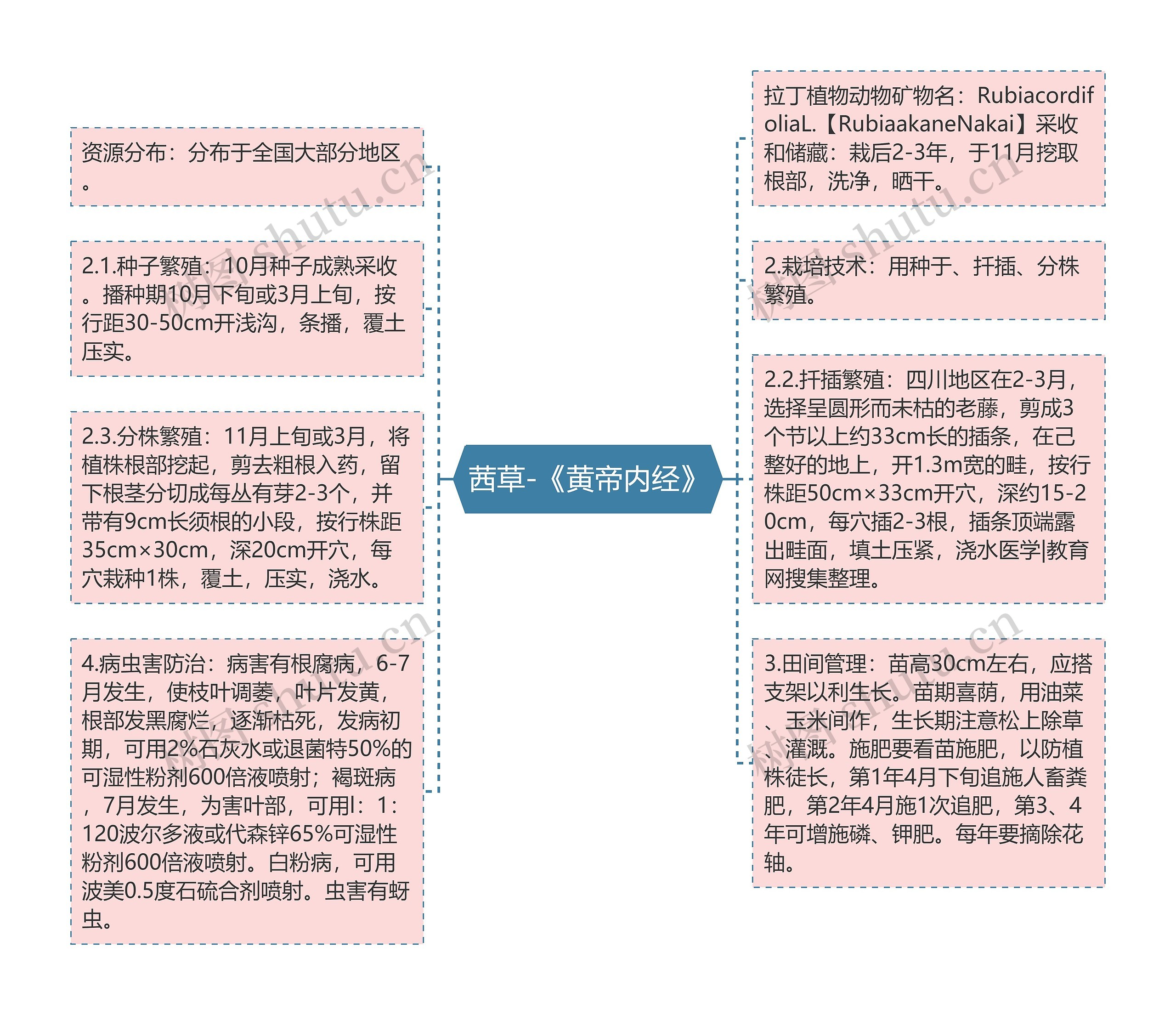 茜草-《黄帝内经》思维导图