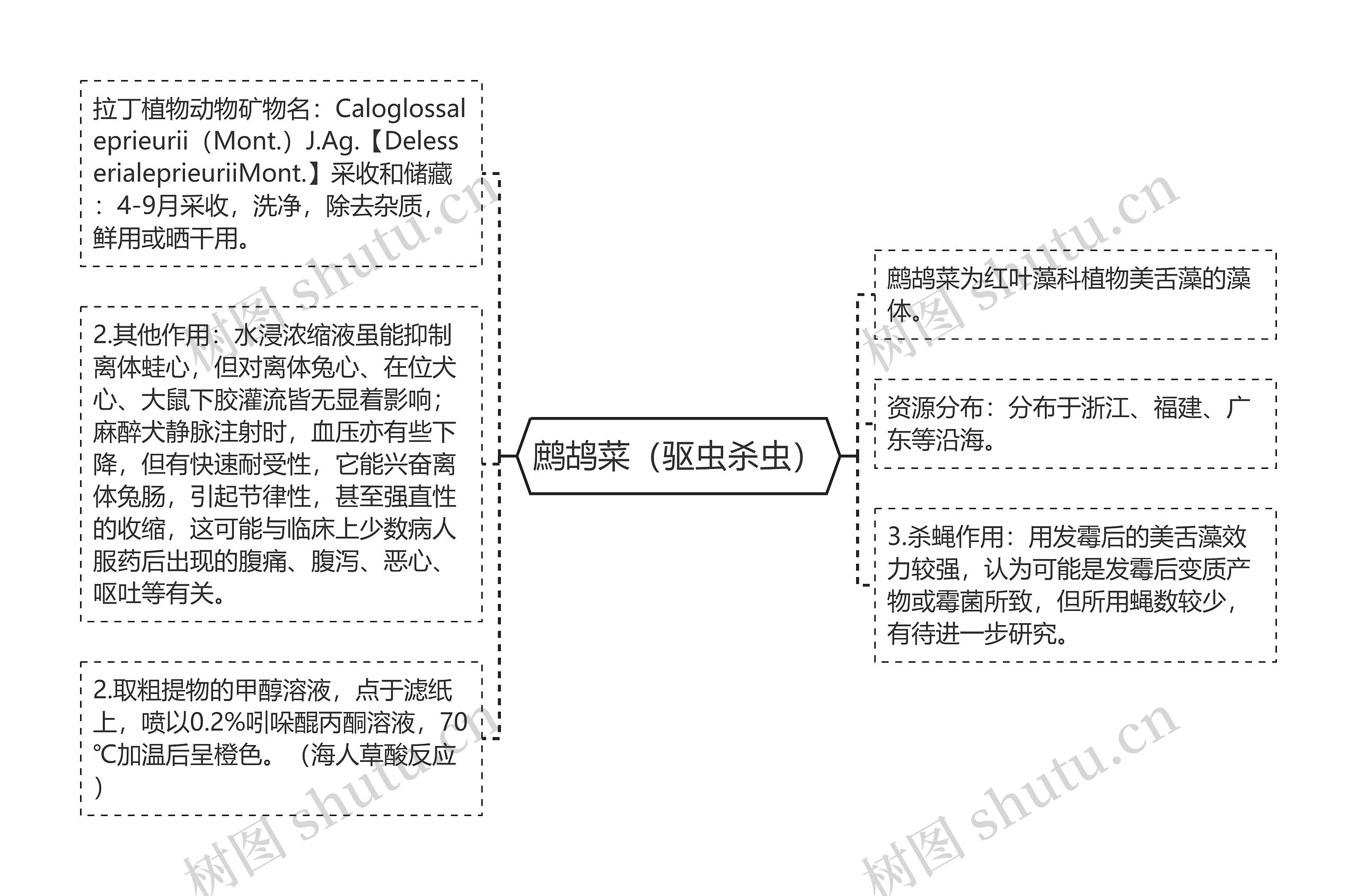 鹧鸪菜(驱虫杀虫) 鹧鸪菜(驱虫杀虫)
