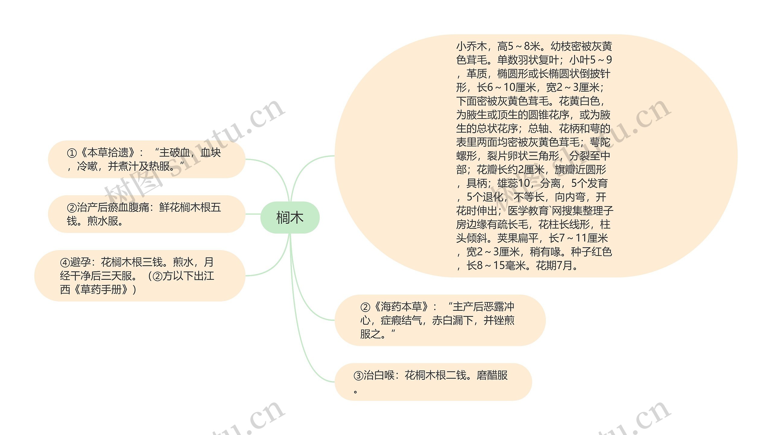 榈木思维导图