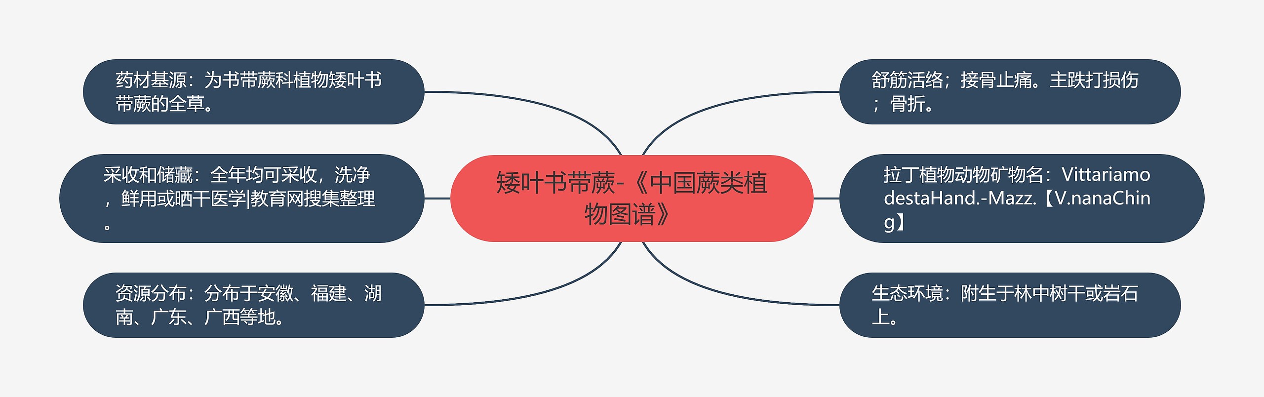 矮叶书带蕨-《中国蕨类植物图谱》