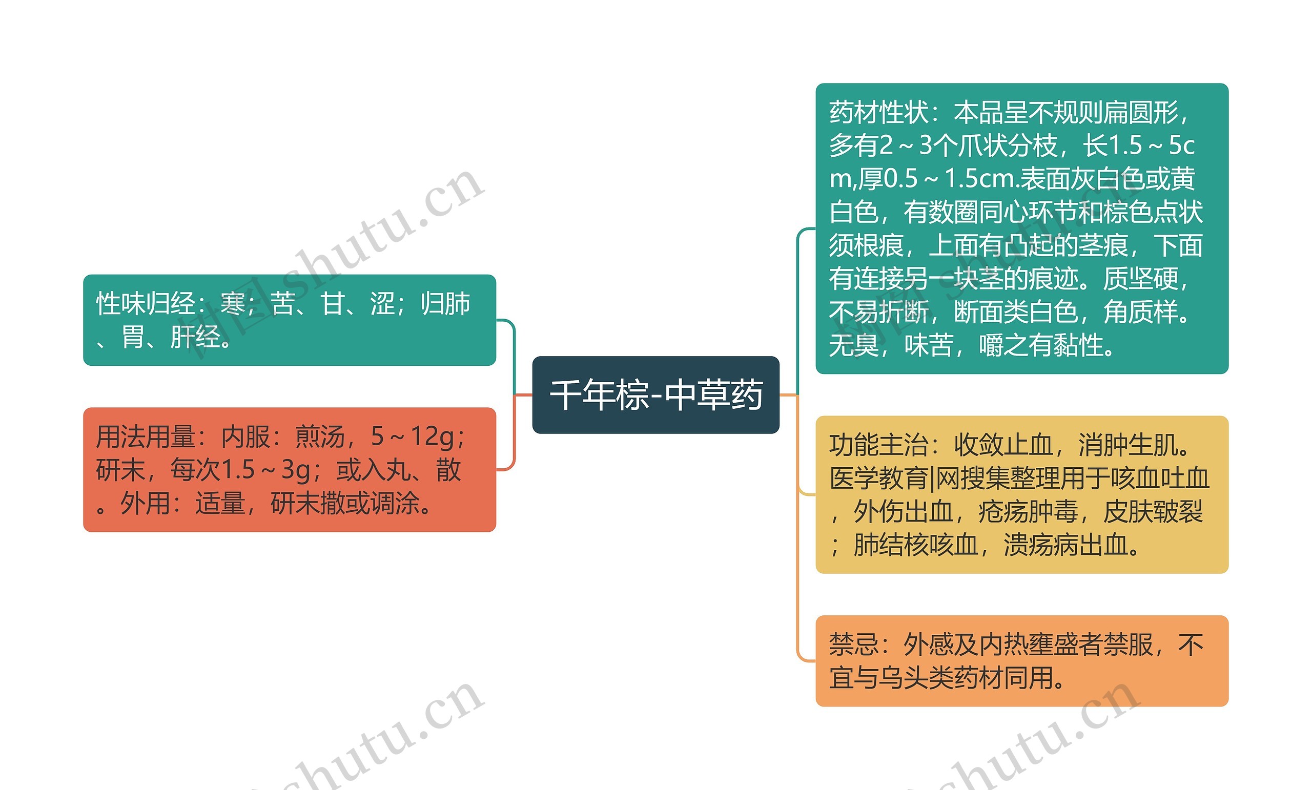 千年棕-中草药思维导图