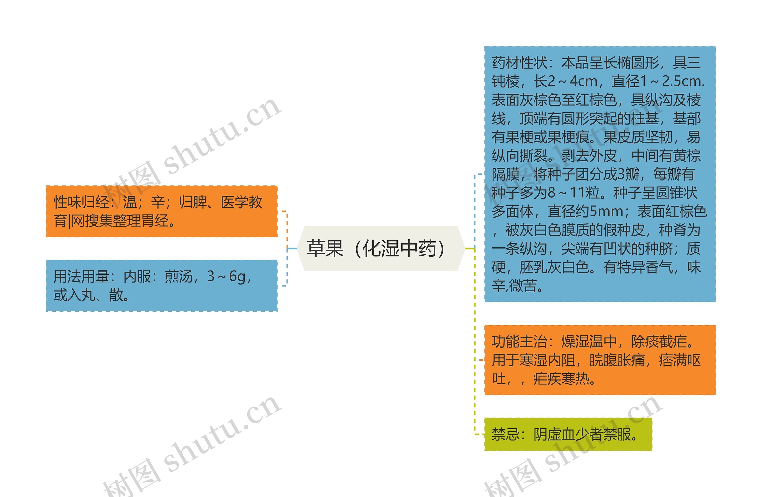 草果（化湿中药）思维导图