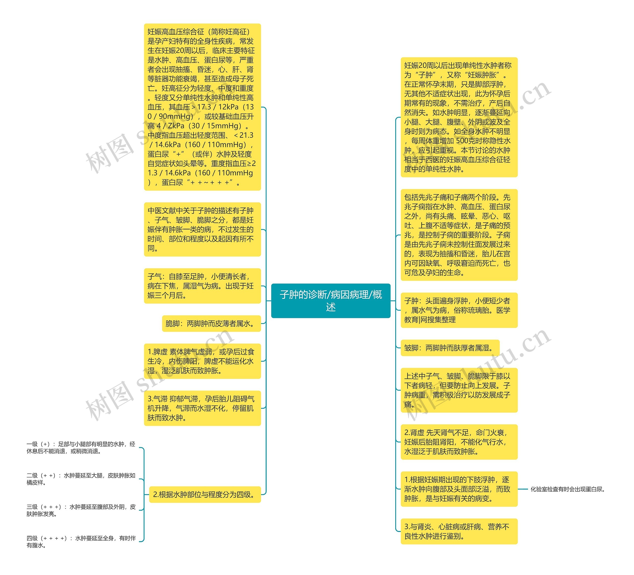 子肿的诊断/病因病理/概述思维导图