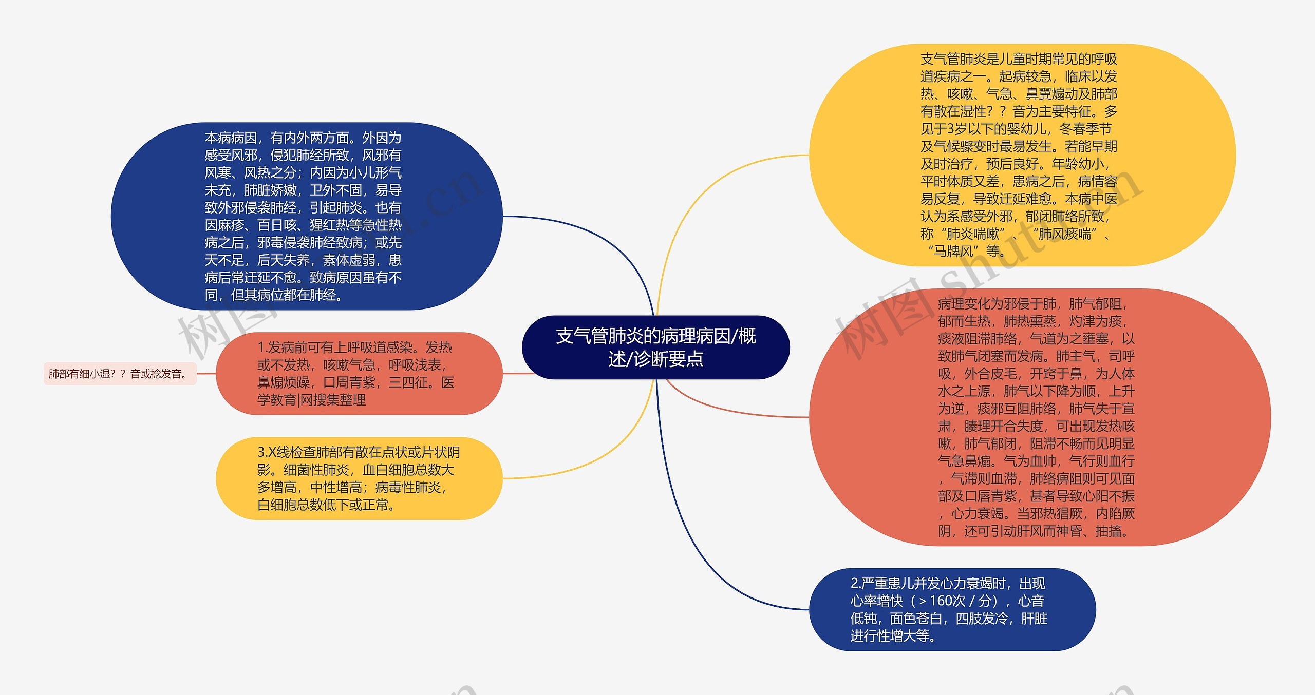 支气管肺炎的病理病因/概述/诊断要点思维导图