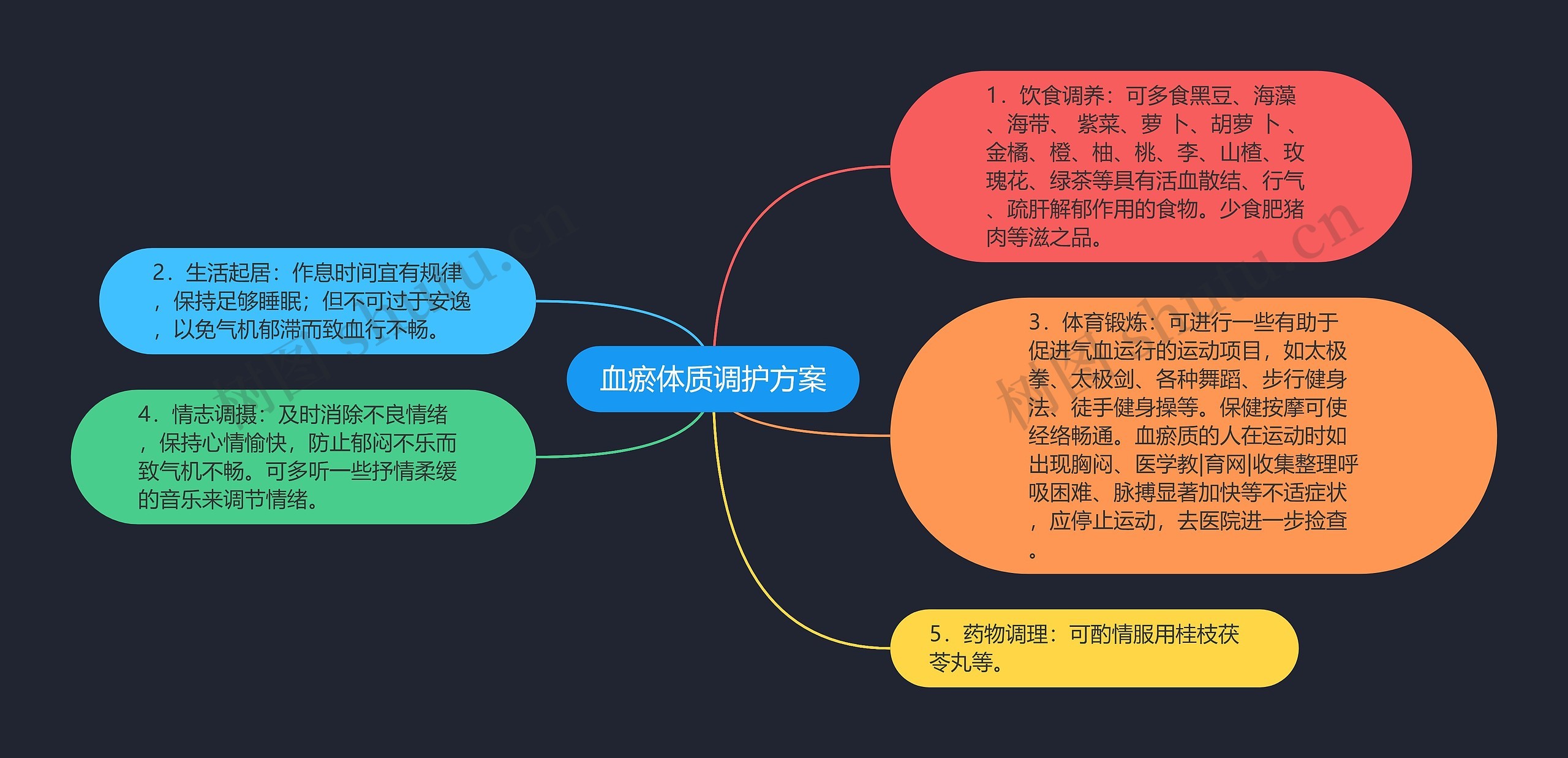 血瘀体质调护方案思维导图