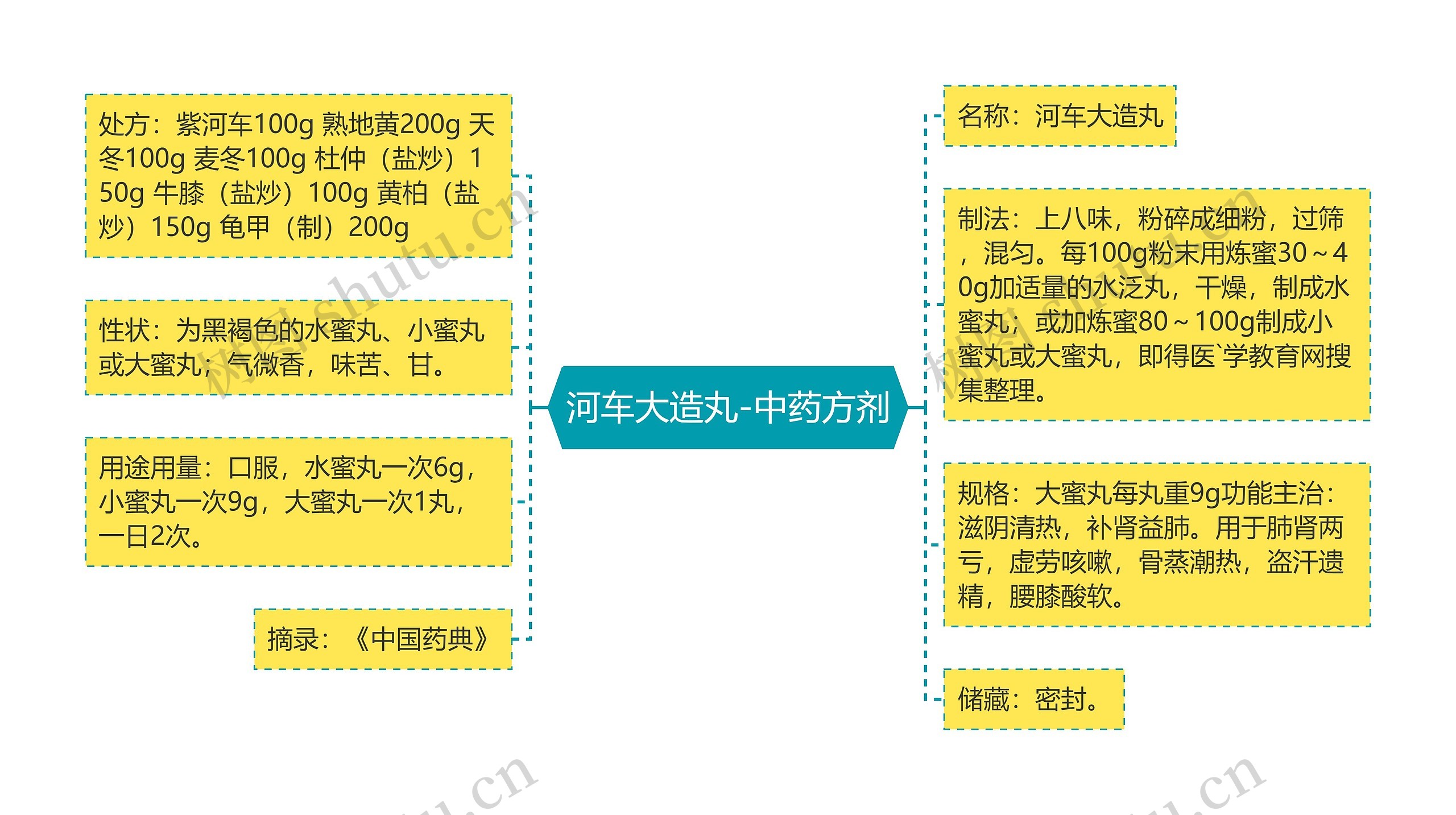 河车大造丸-中药方剂思维导图