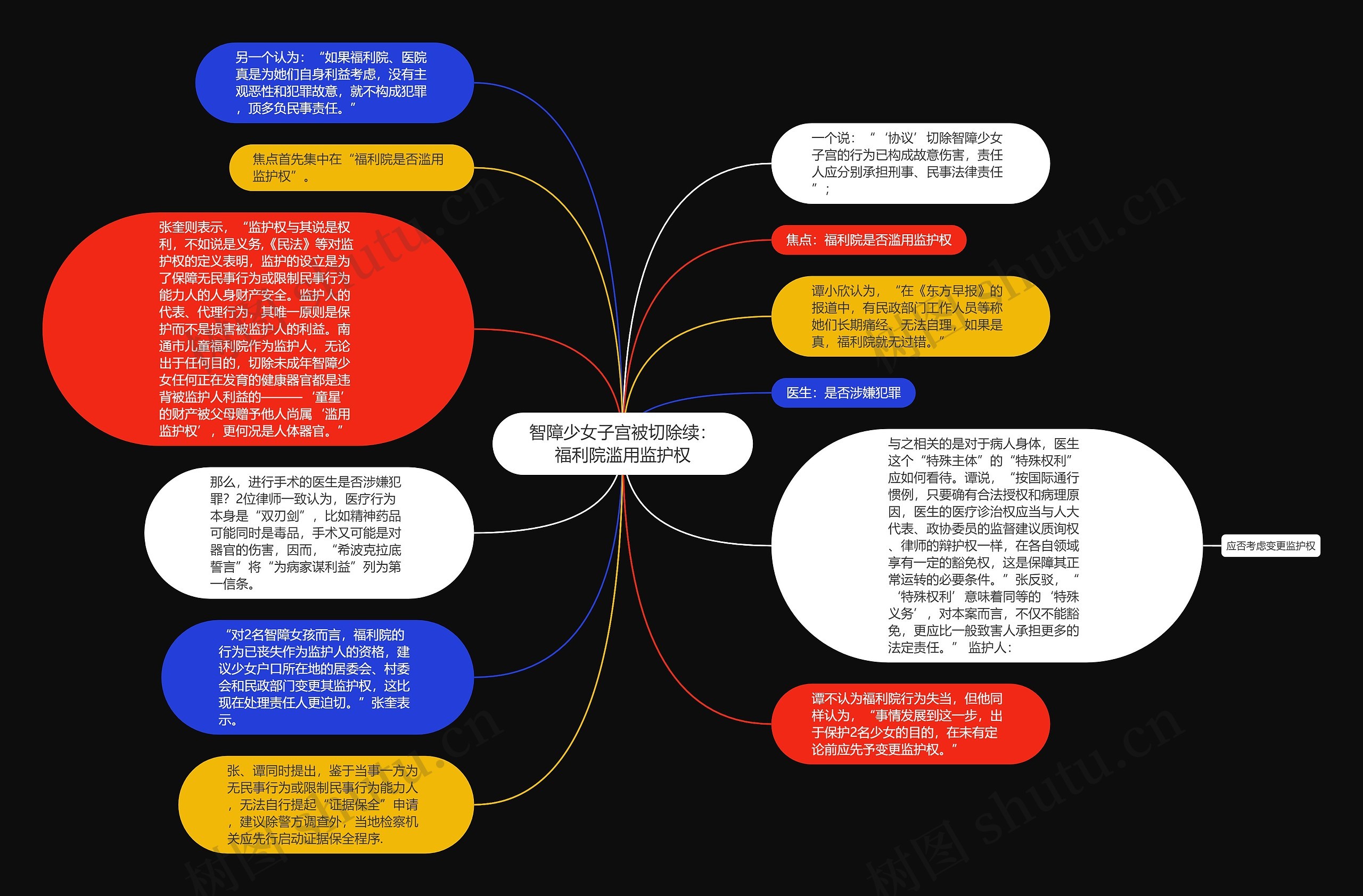 智障少女子宫被切除续：福利院滥用监护权思维导图