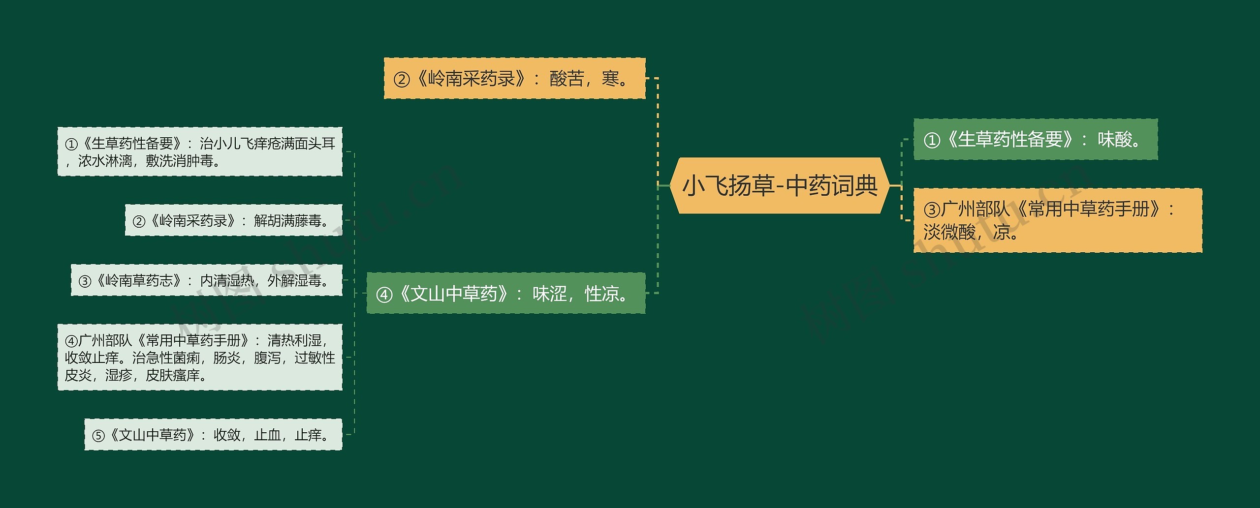 小飞扬草-中药词典 小飞扬草-中药词典