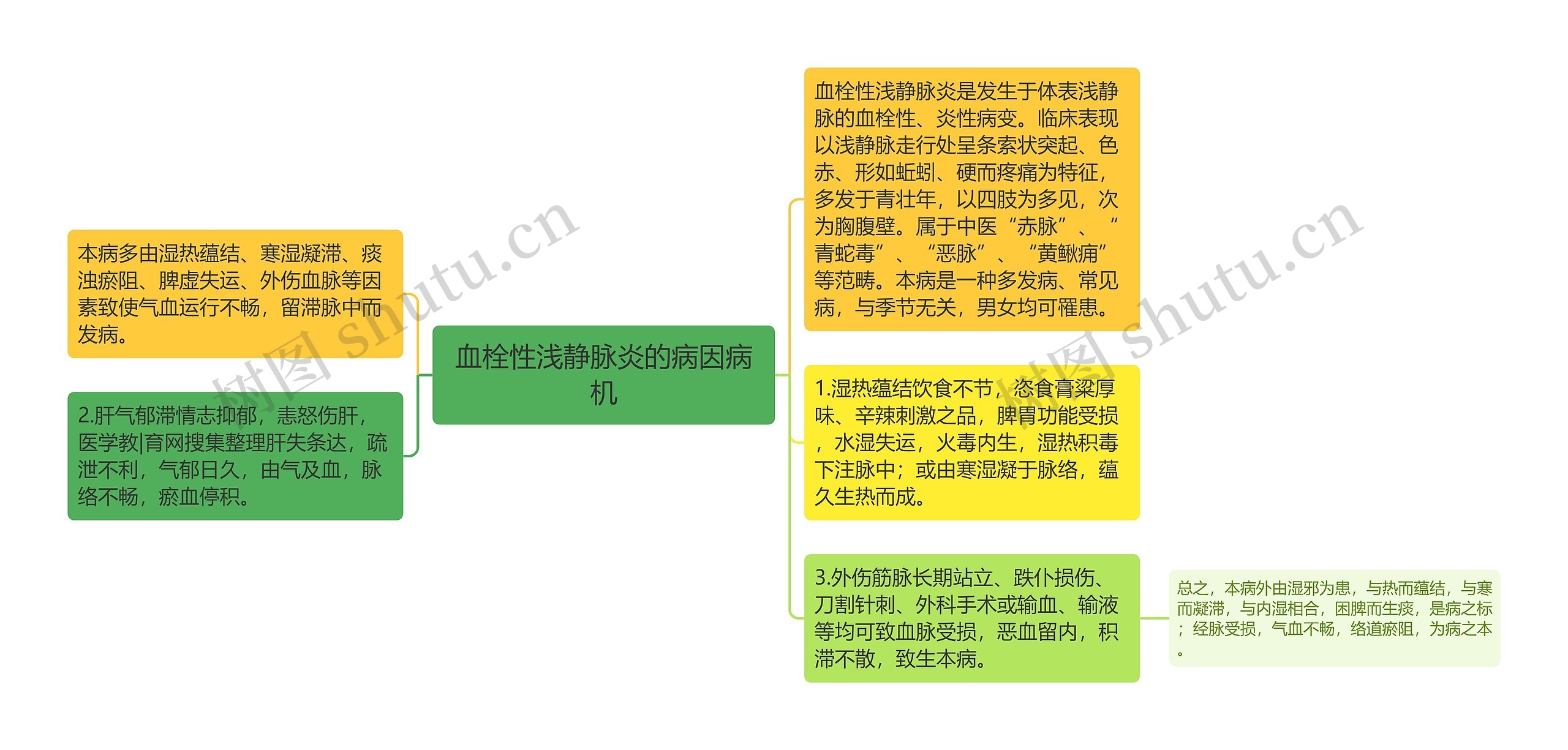 血栓性浅静脉炎的病因病机思维导图