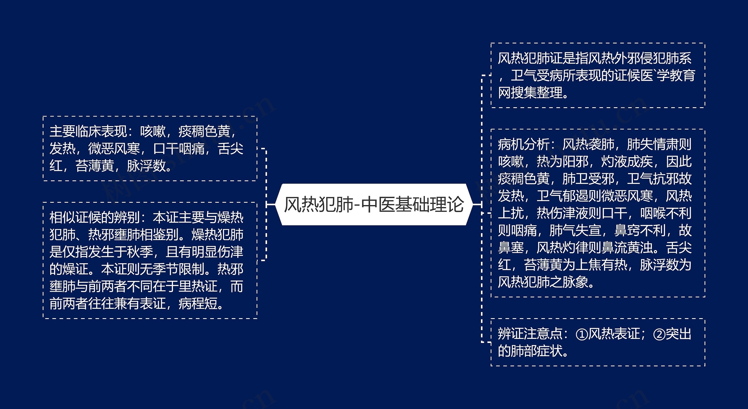 风热犯肺-中医基础理论
