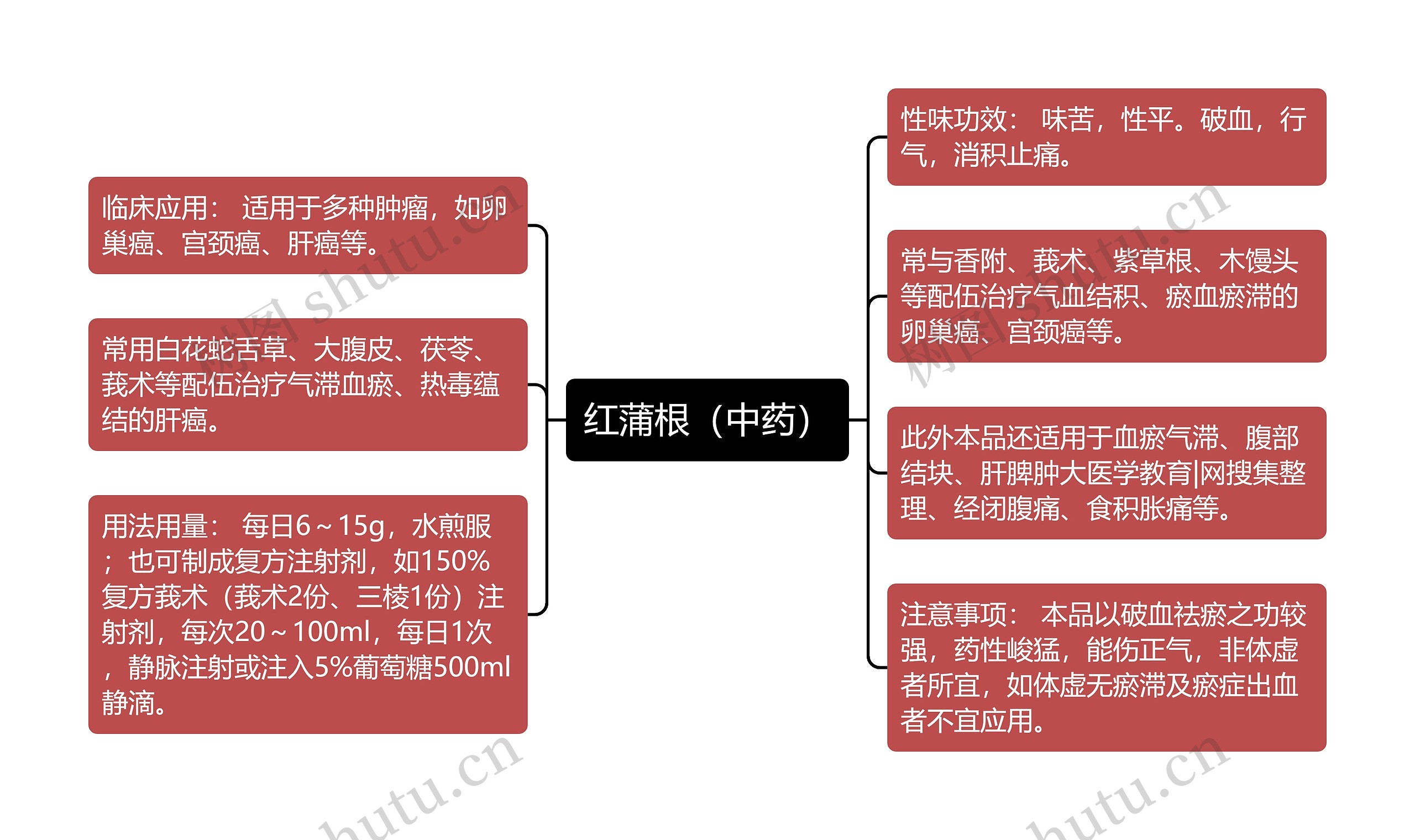 红蒲根（中药）思维导图