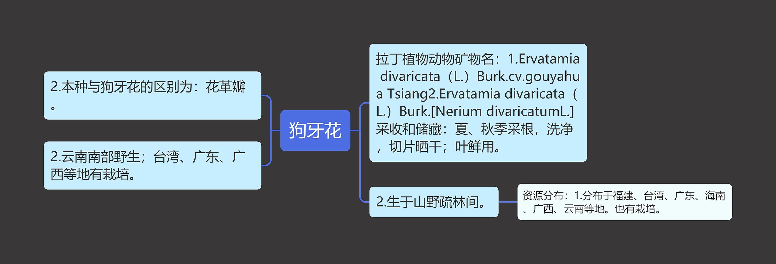 狗牙花思维导图