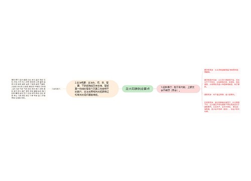 足太阳膀胱经要点