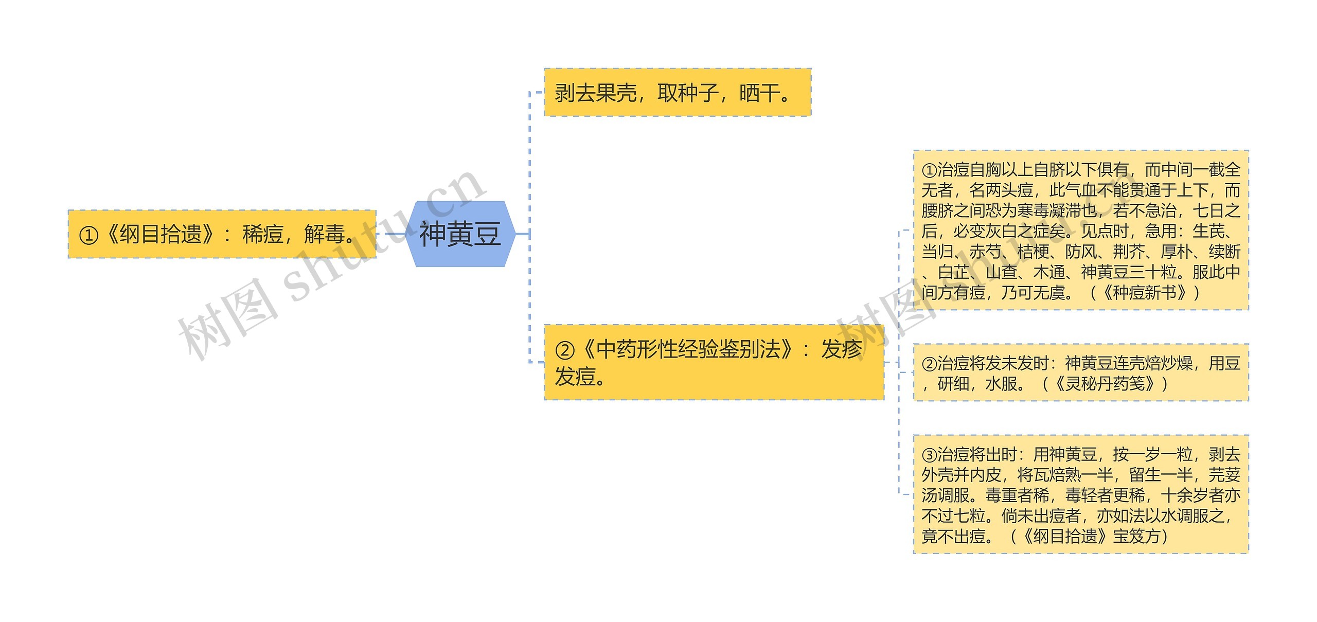 神黄豆思维导图