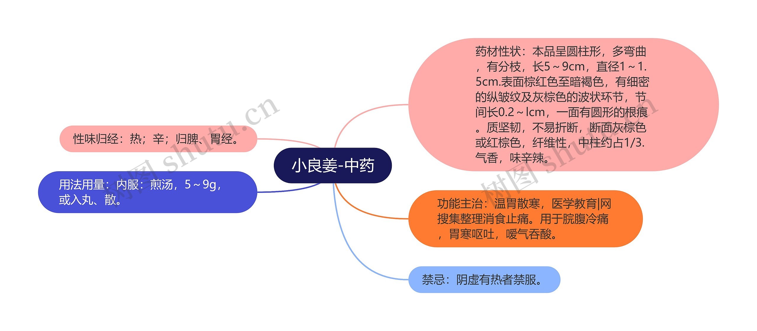 小良姜-中药思维导图