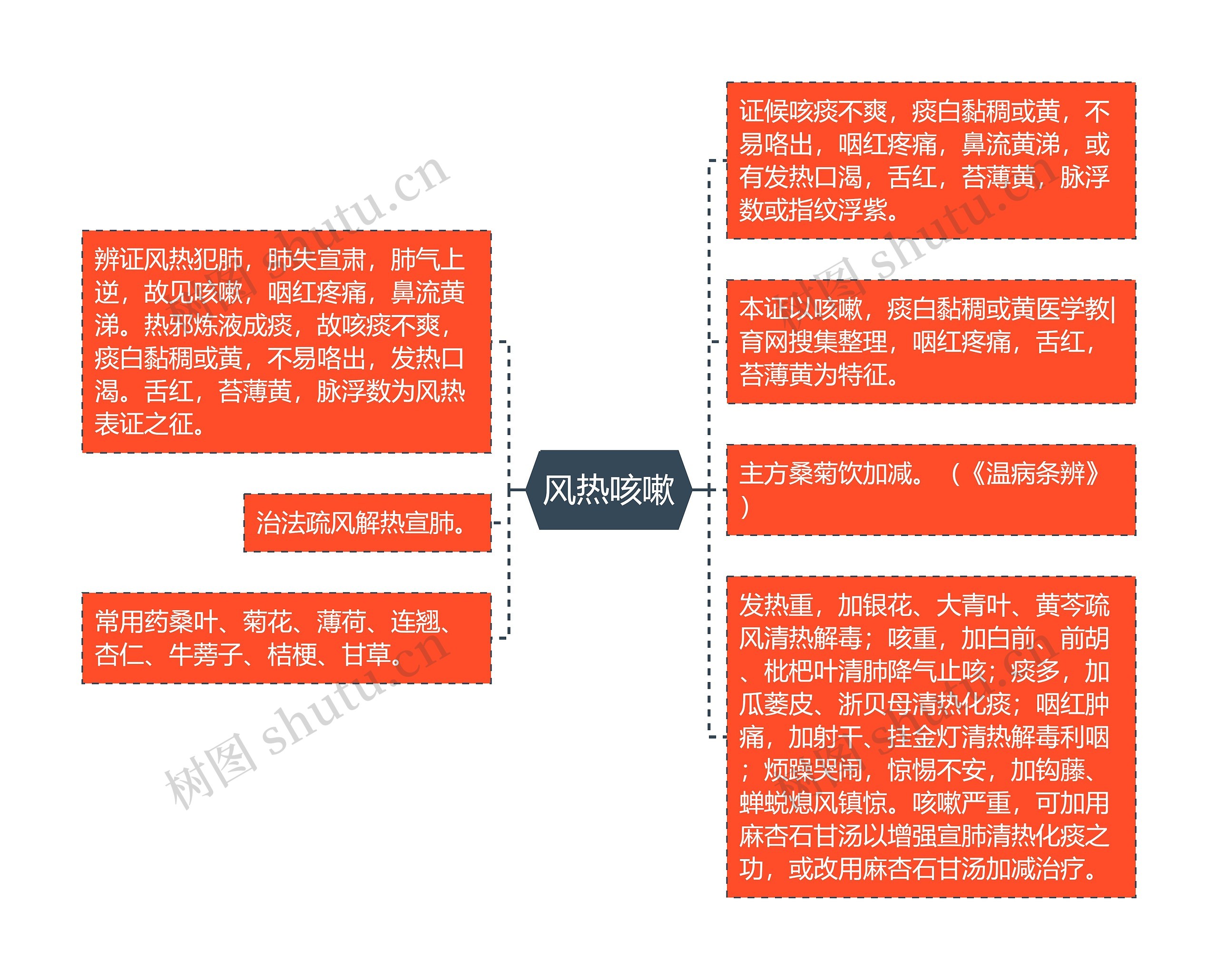 风热咳嗽 风热咳嗽