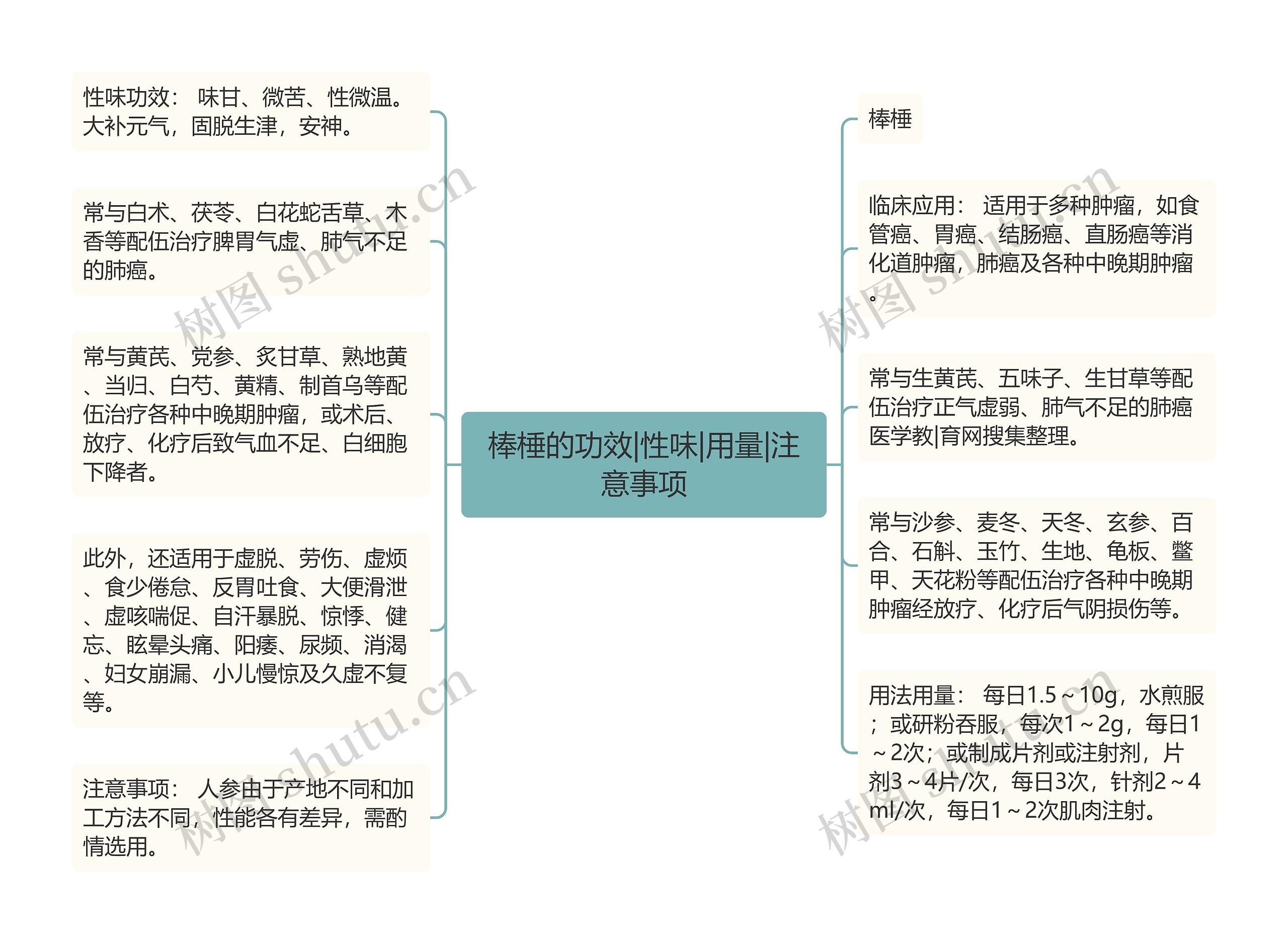 棒棰的功效|性味|用量|注意事项