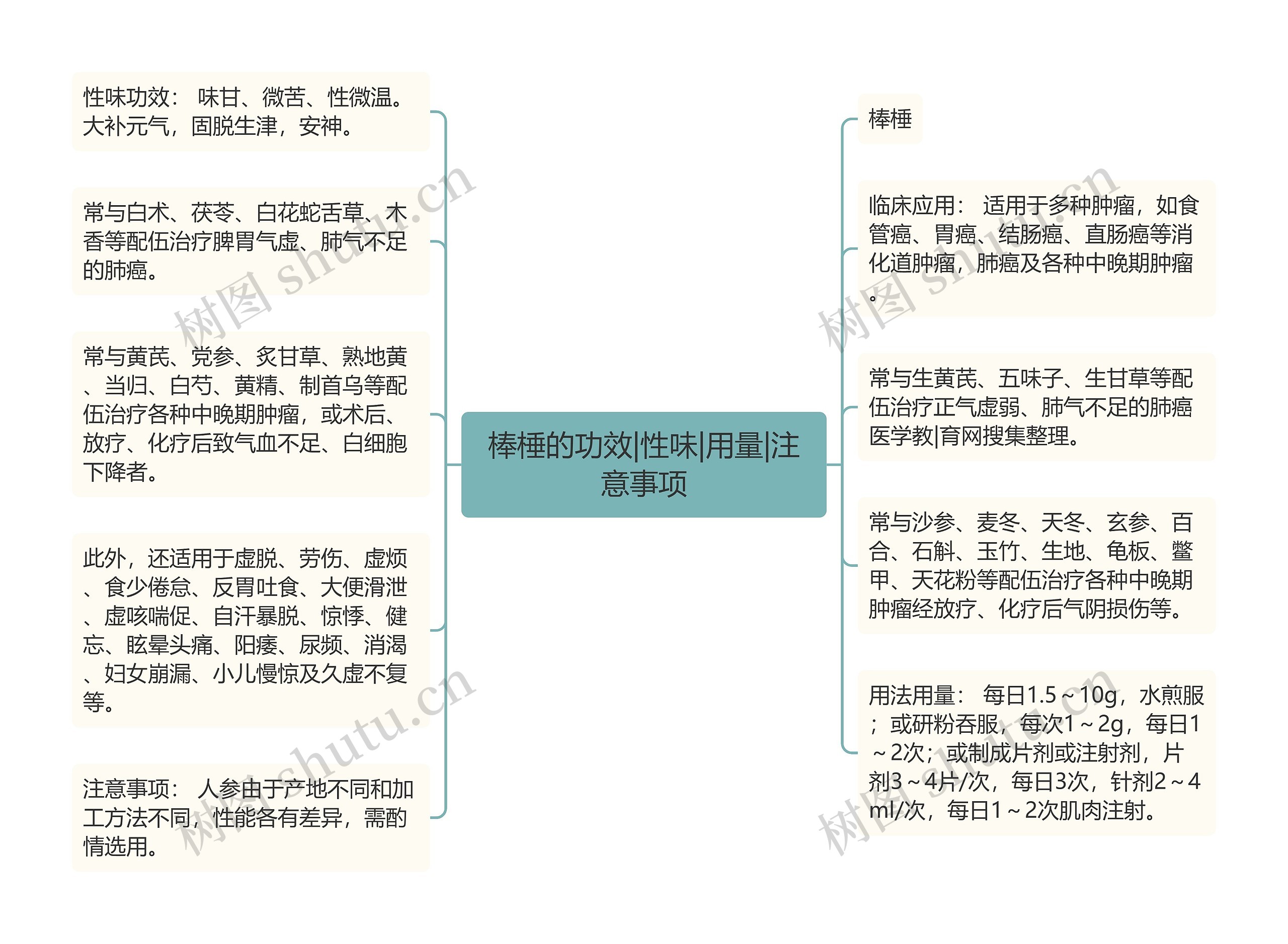 棒棰的功效|性味|用量|注意事项 棒棰的功效|性味|用量|注意事项