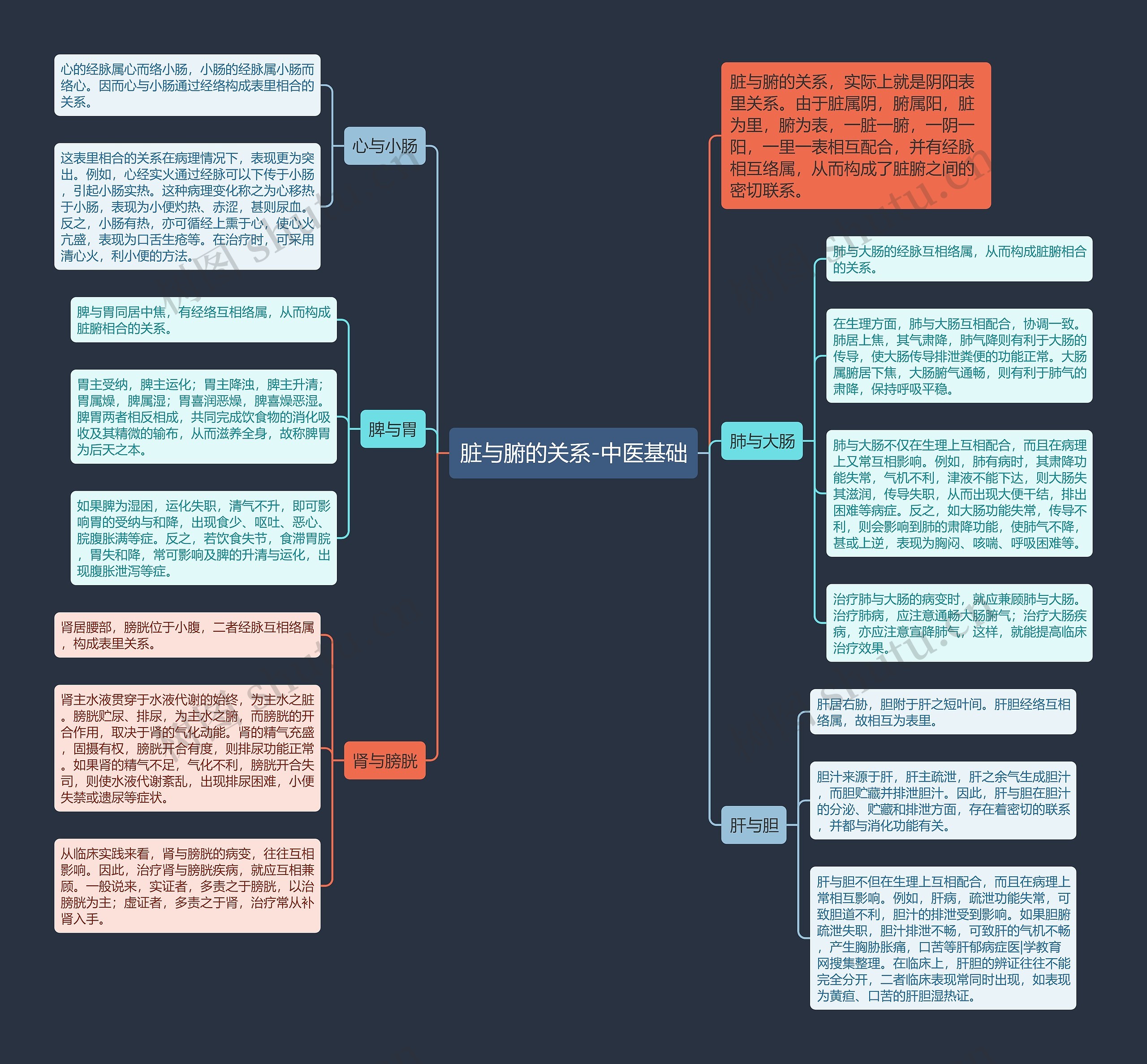 脏与腑的关系-中医基础 脏与腑的关系-中医基础