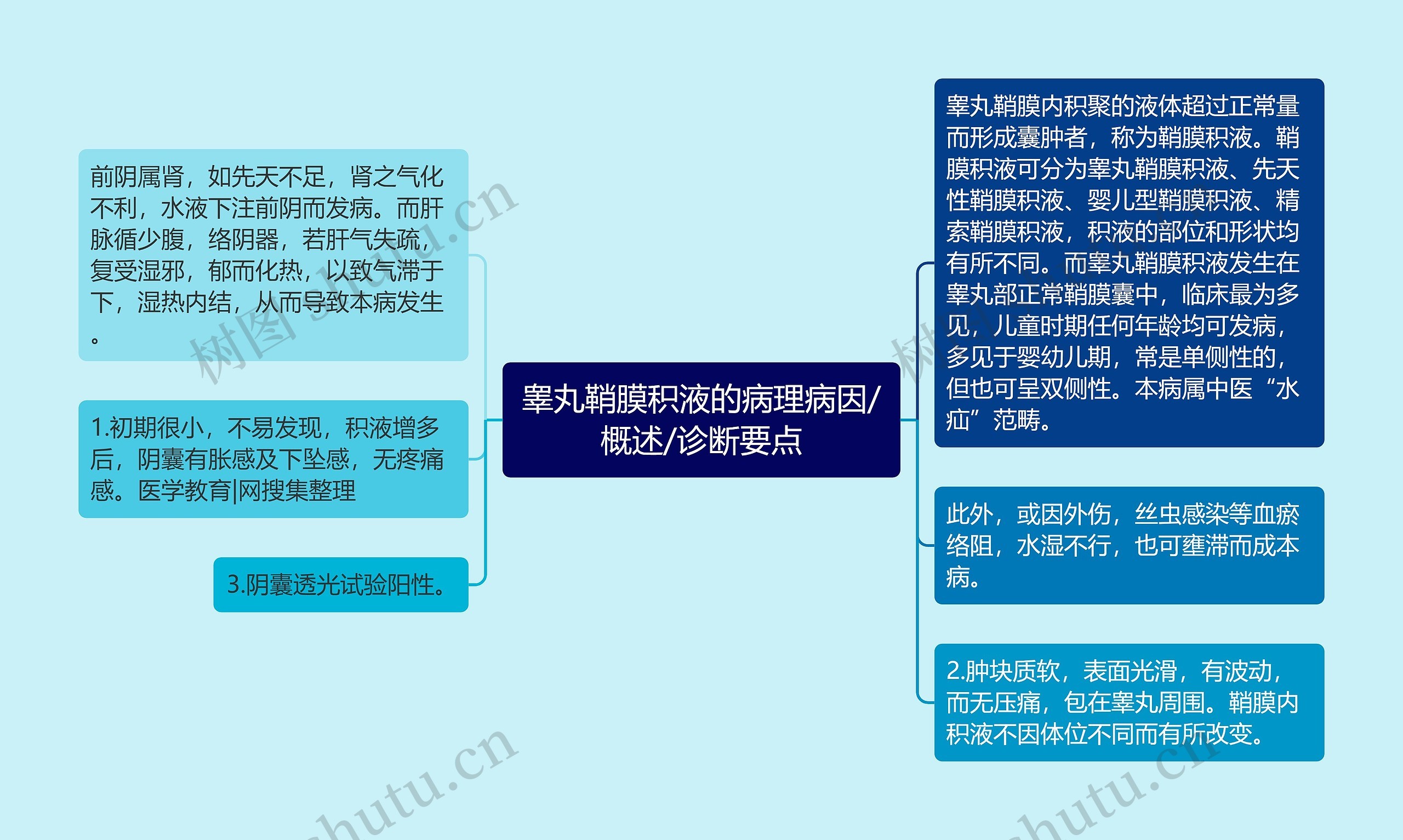 睾丸鞘膜积液的病理病因/概述/诊断要点思维导图