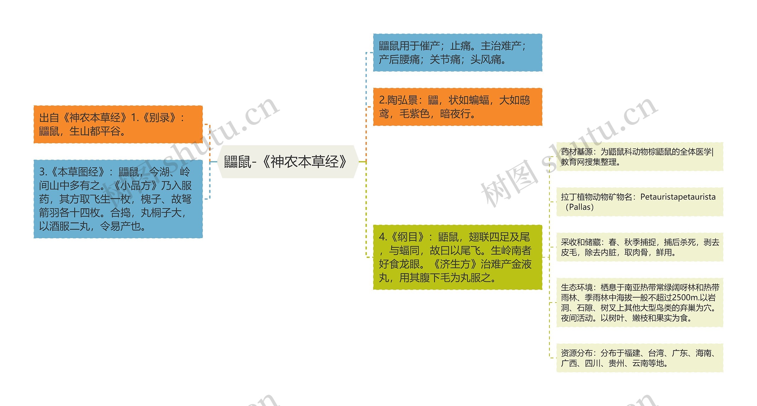 鼺鼠-《神农本草经》思维导图