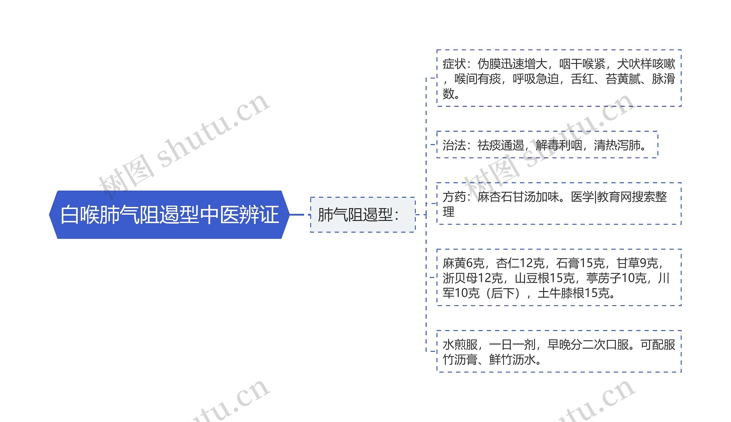 白喉肺气阻遏型中医辨证思维导图