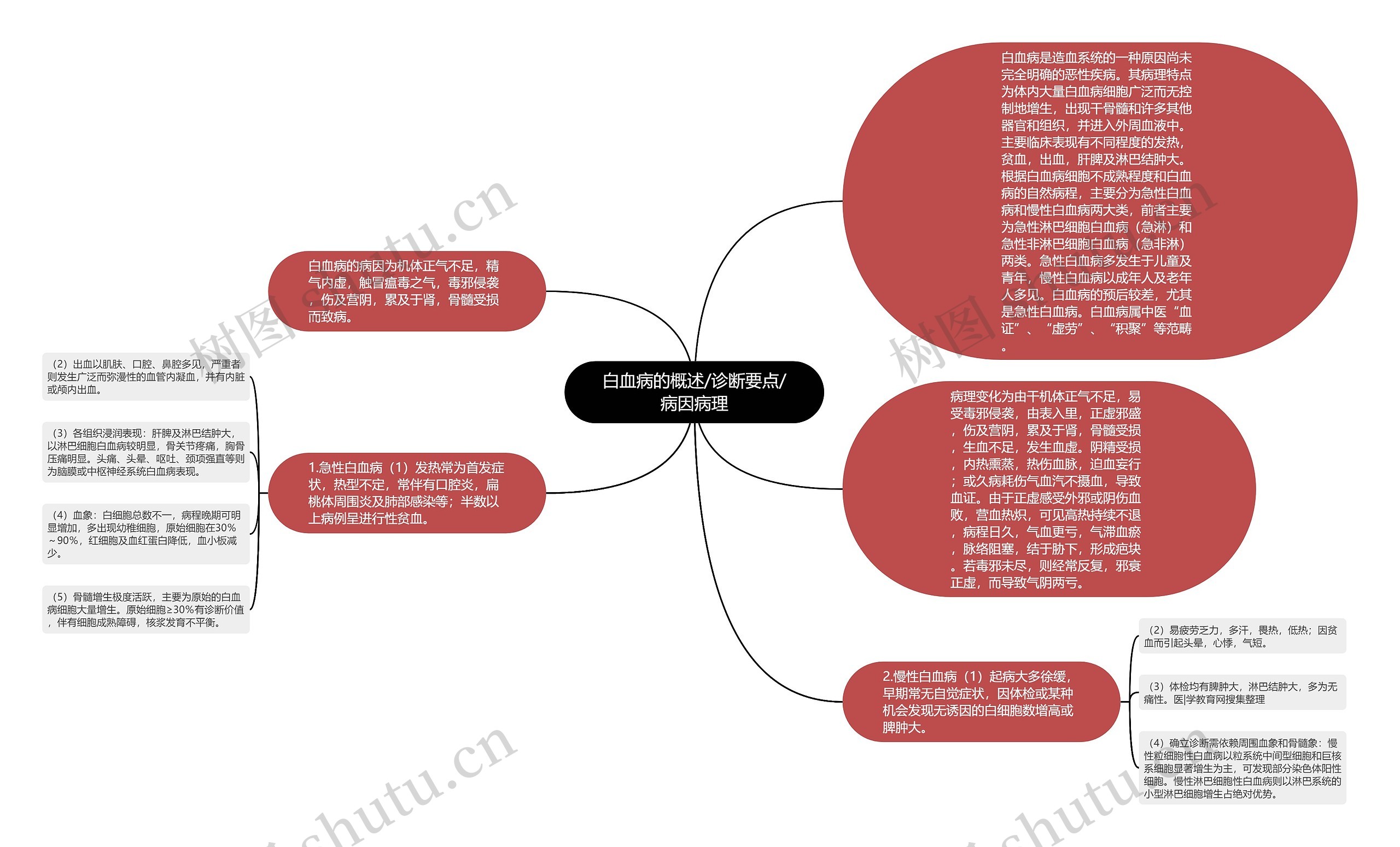 白血病的概述/诊断要点/病因病理思维导图